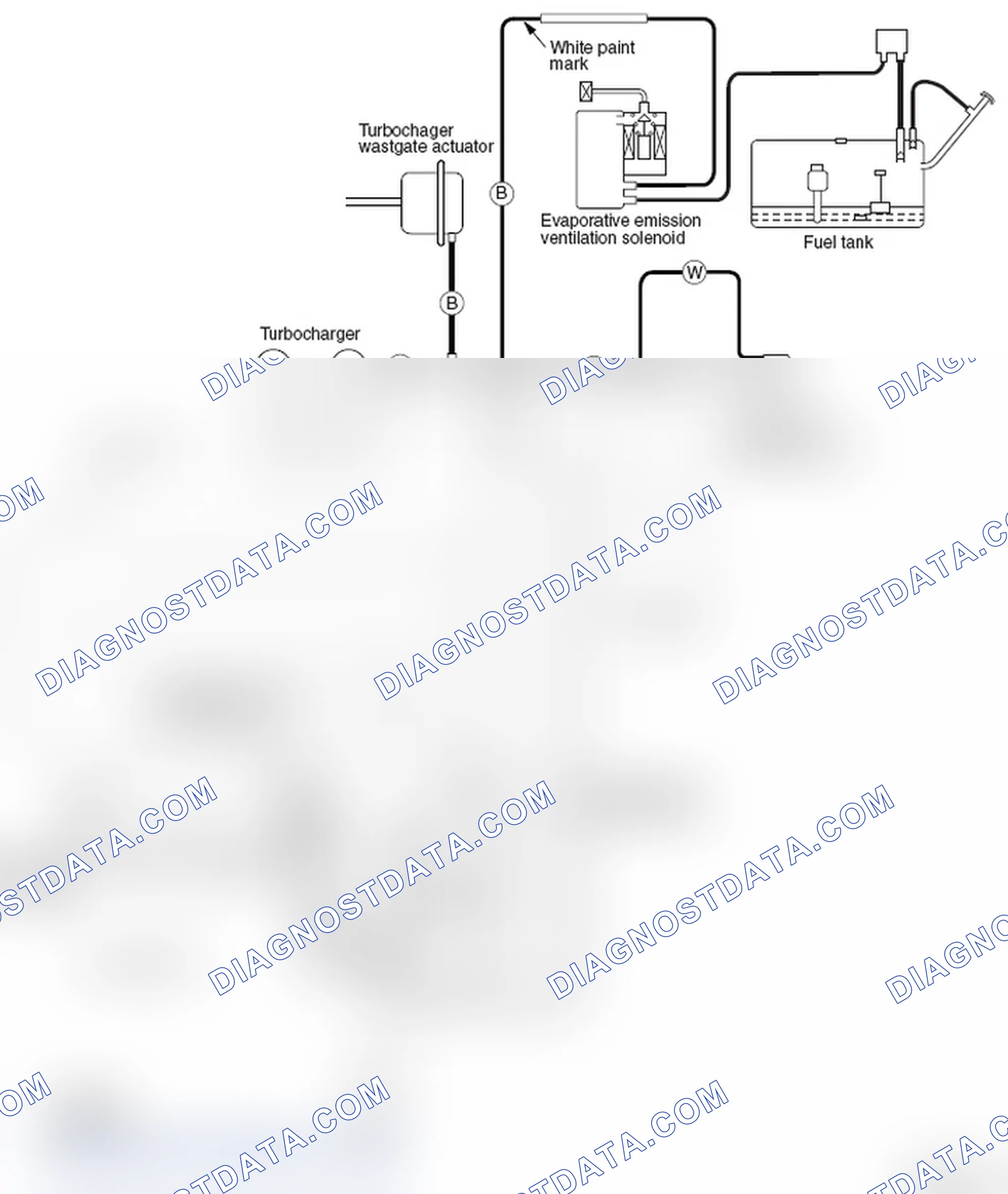 Scheme 5