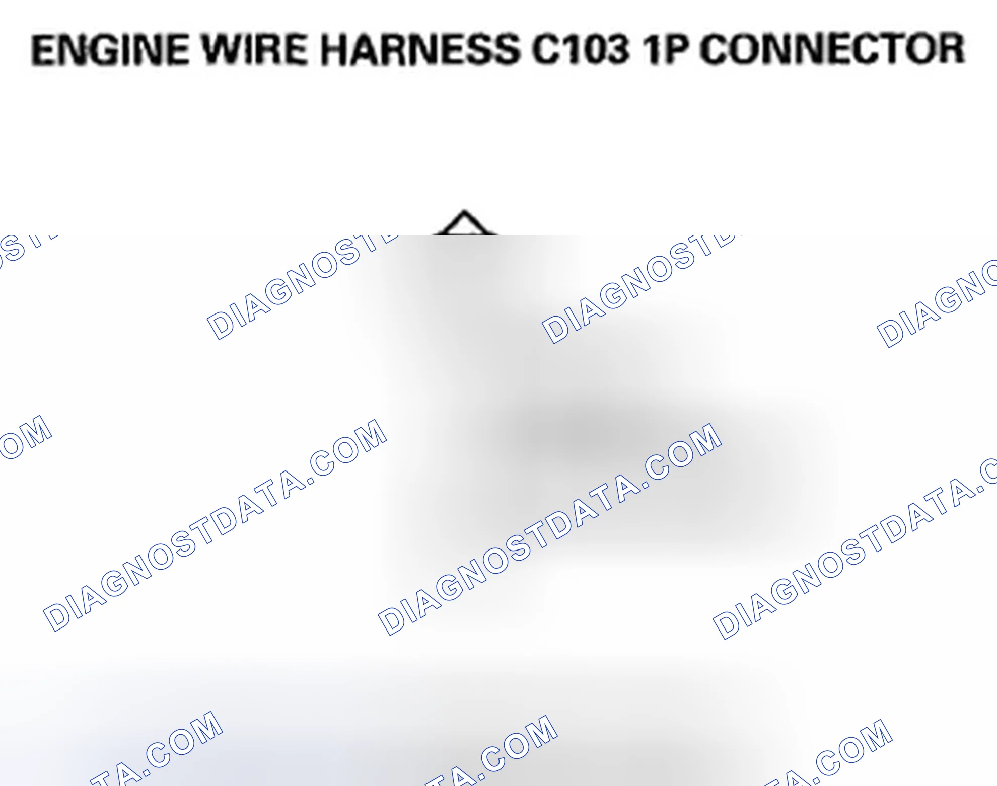 Scheme 384