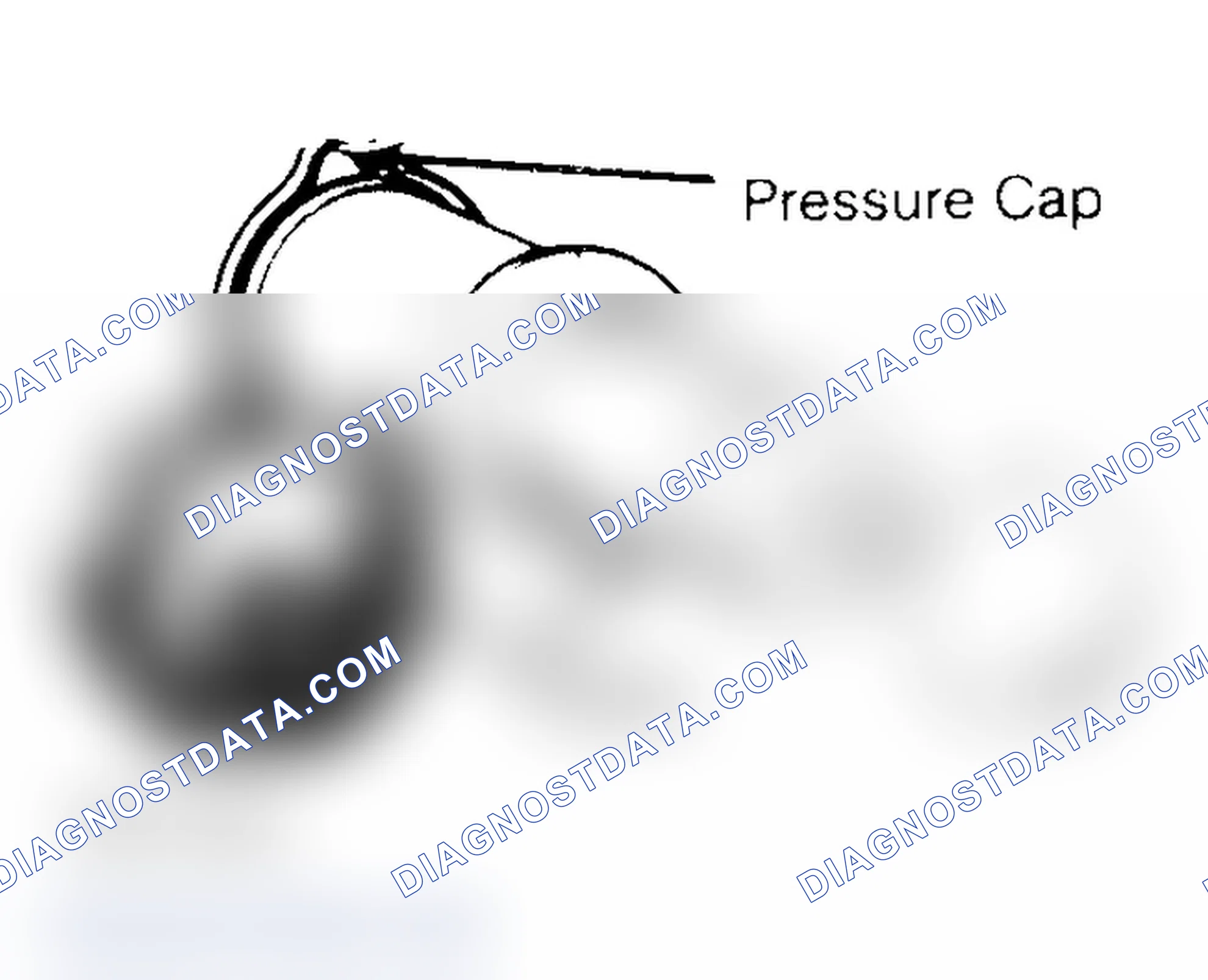 Scheme 2: Pressure Testing Radiator Cap