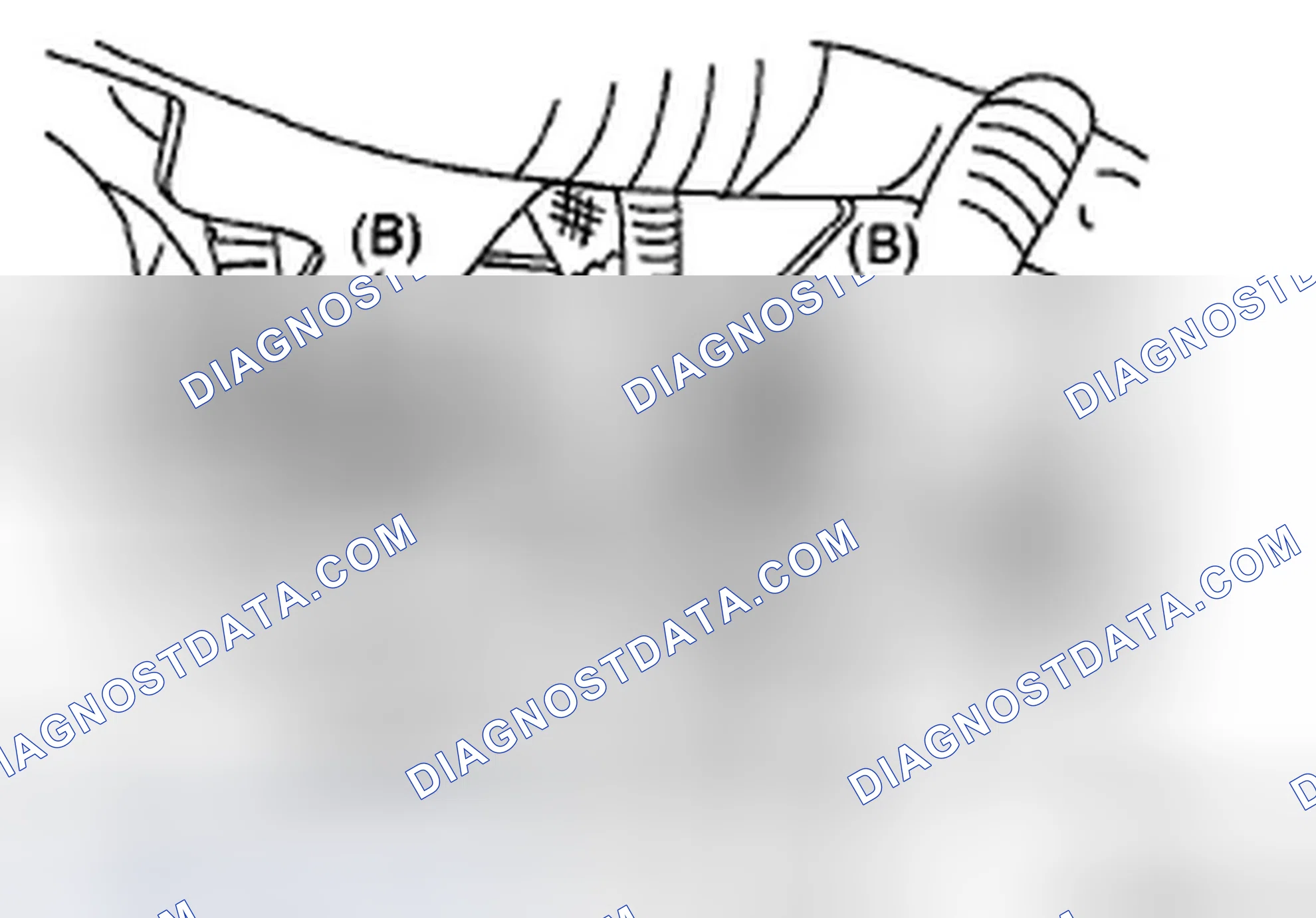 Scheme 5