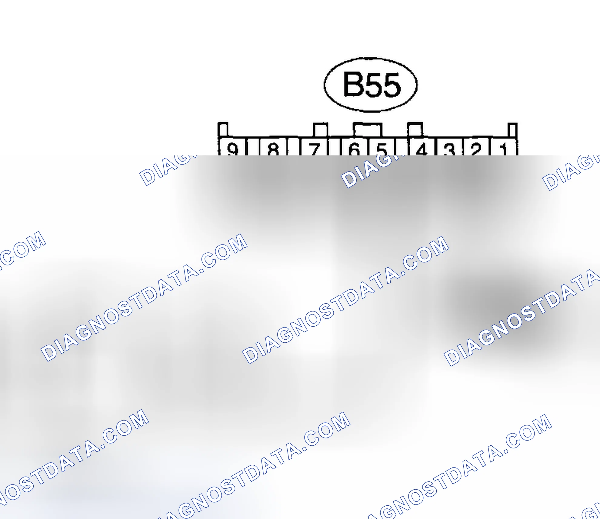 Scheme 446