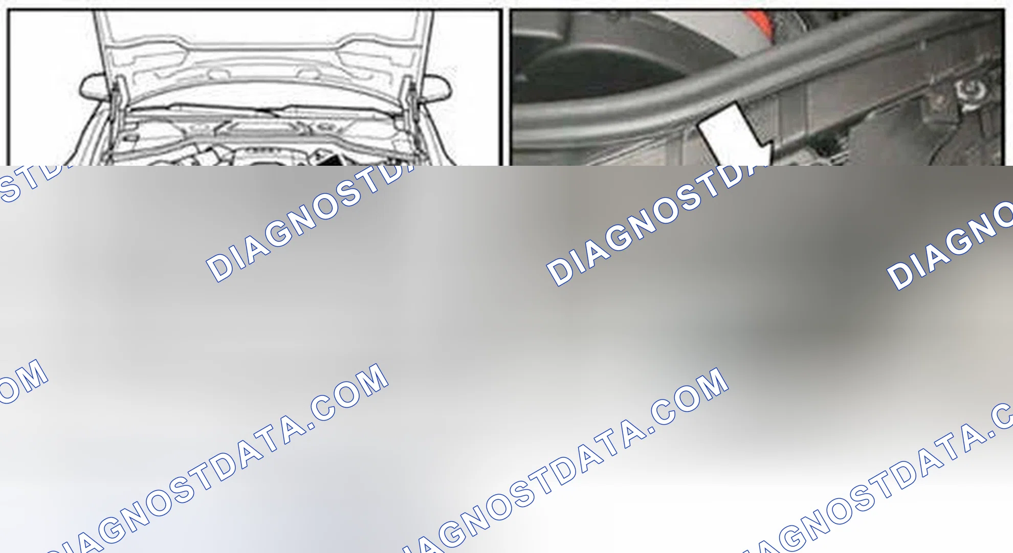 Scheme 170