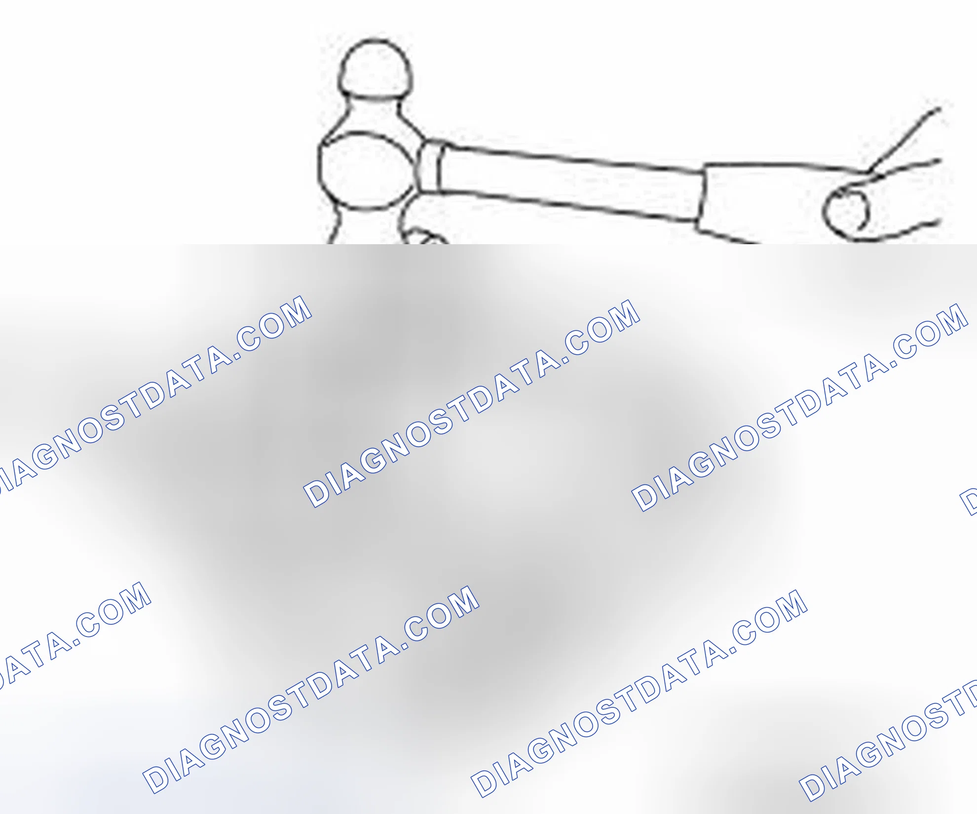 Scheme 41: Assembly