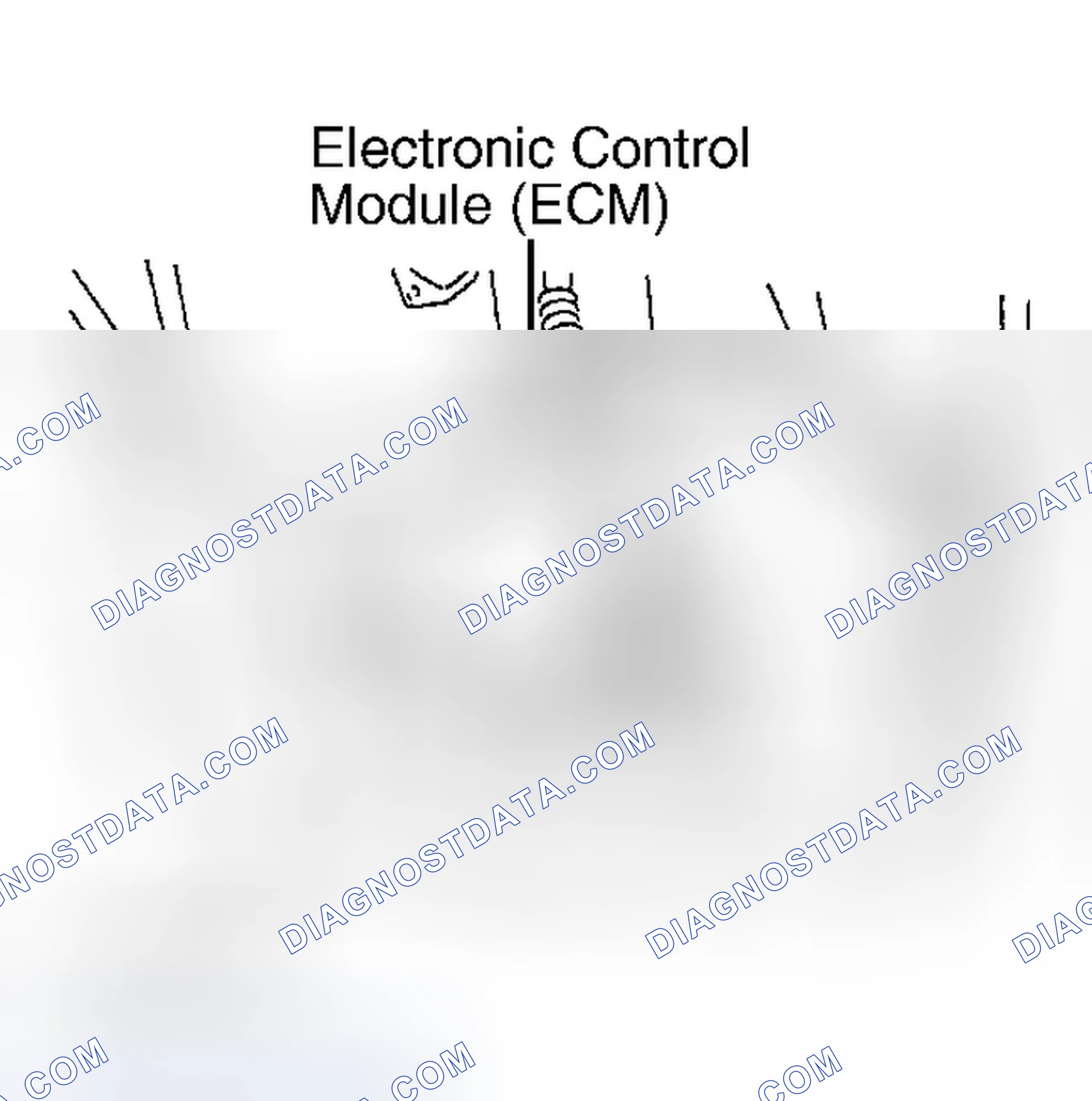 Scheme 13: ECM LOCATION