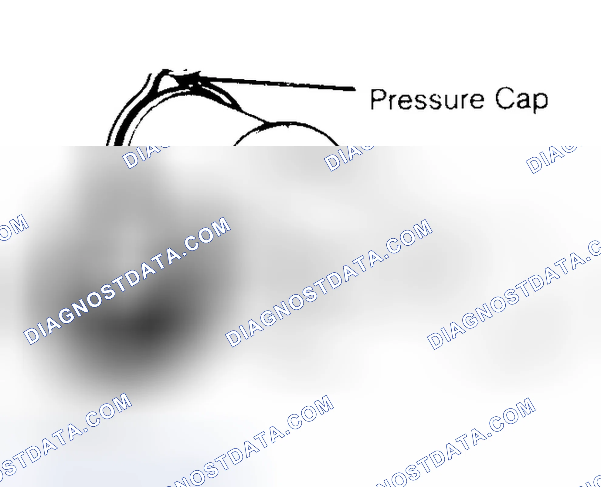 Scheme 2: Pressure Testing Radiator Cap