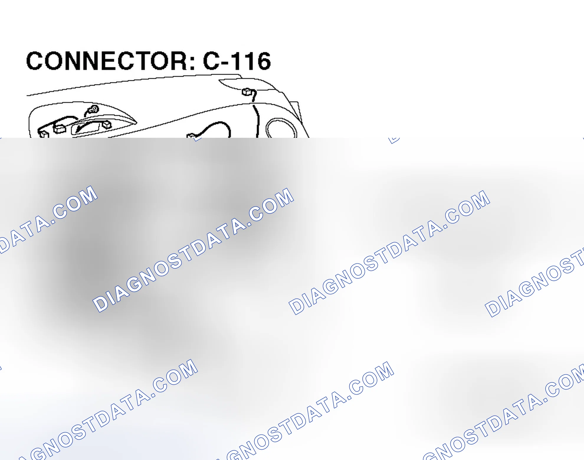 Scheme 304
