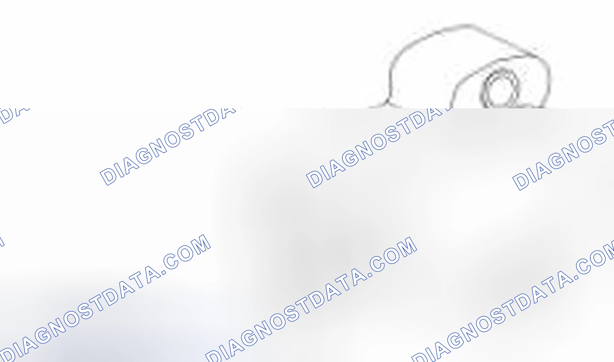 Scheme 65: Throttle Position (TP) Sensor
