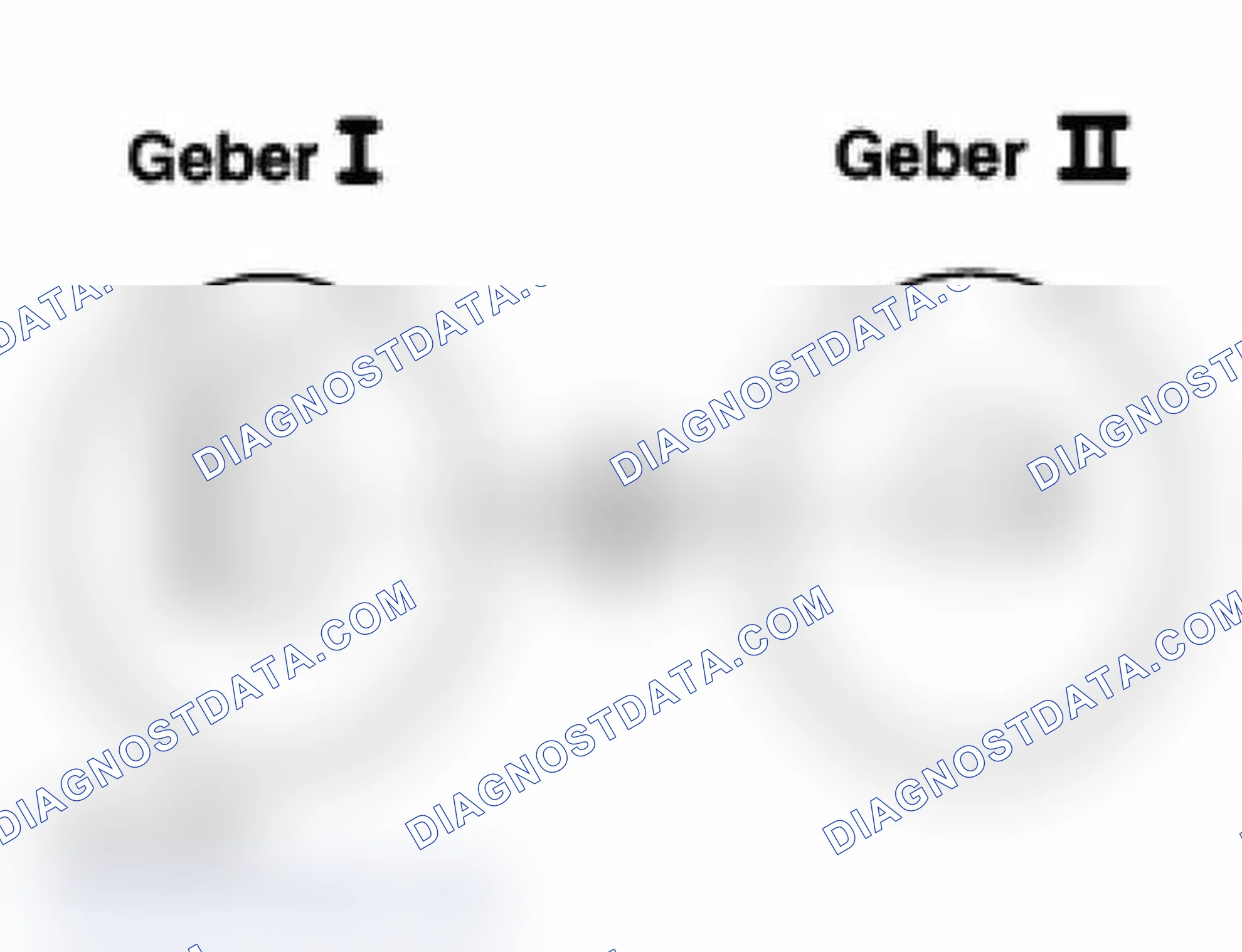 Scheme 15: Checking Sender For Fuel Gauge (Up To M.Y. 1999)