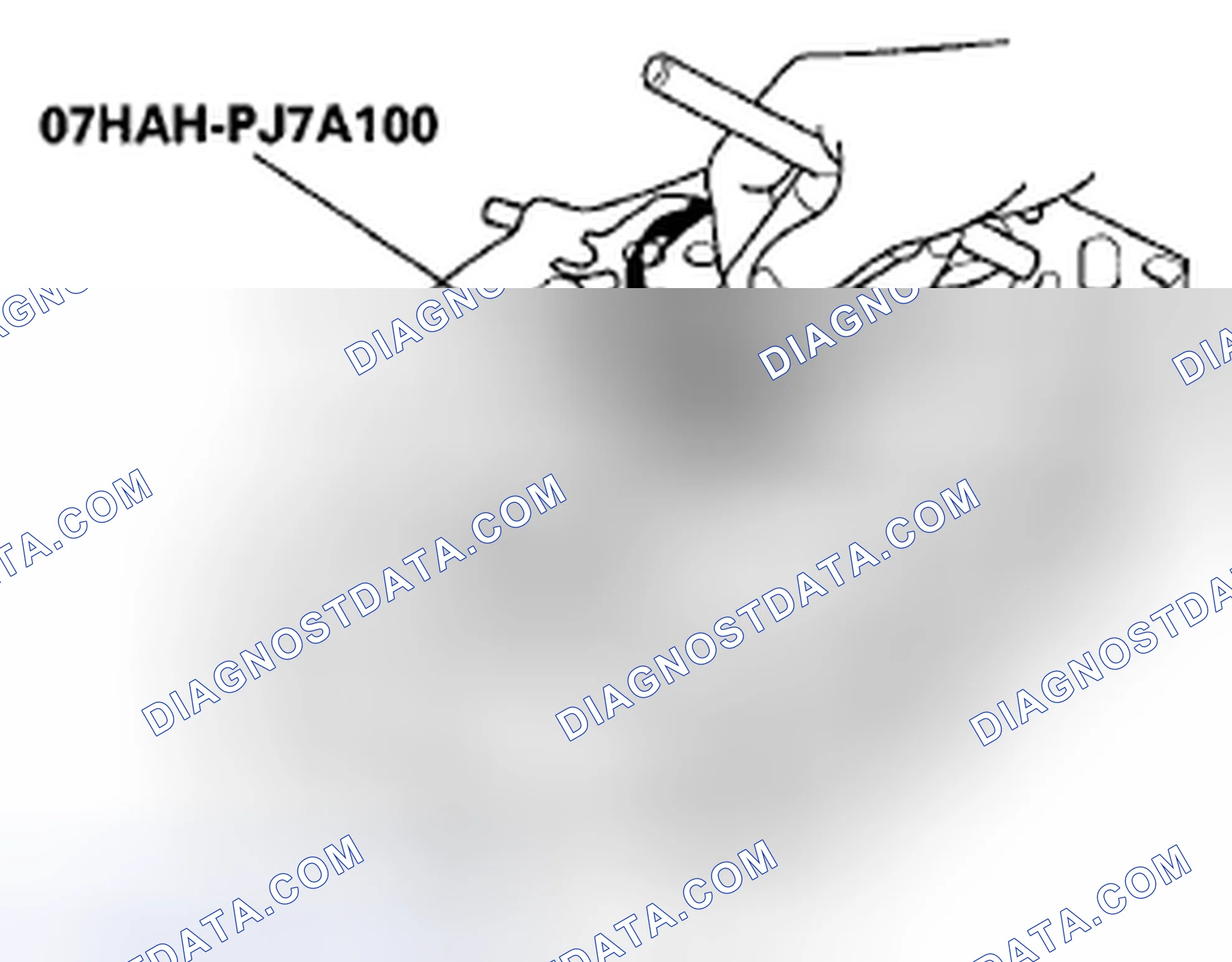 Scheme 135
