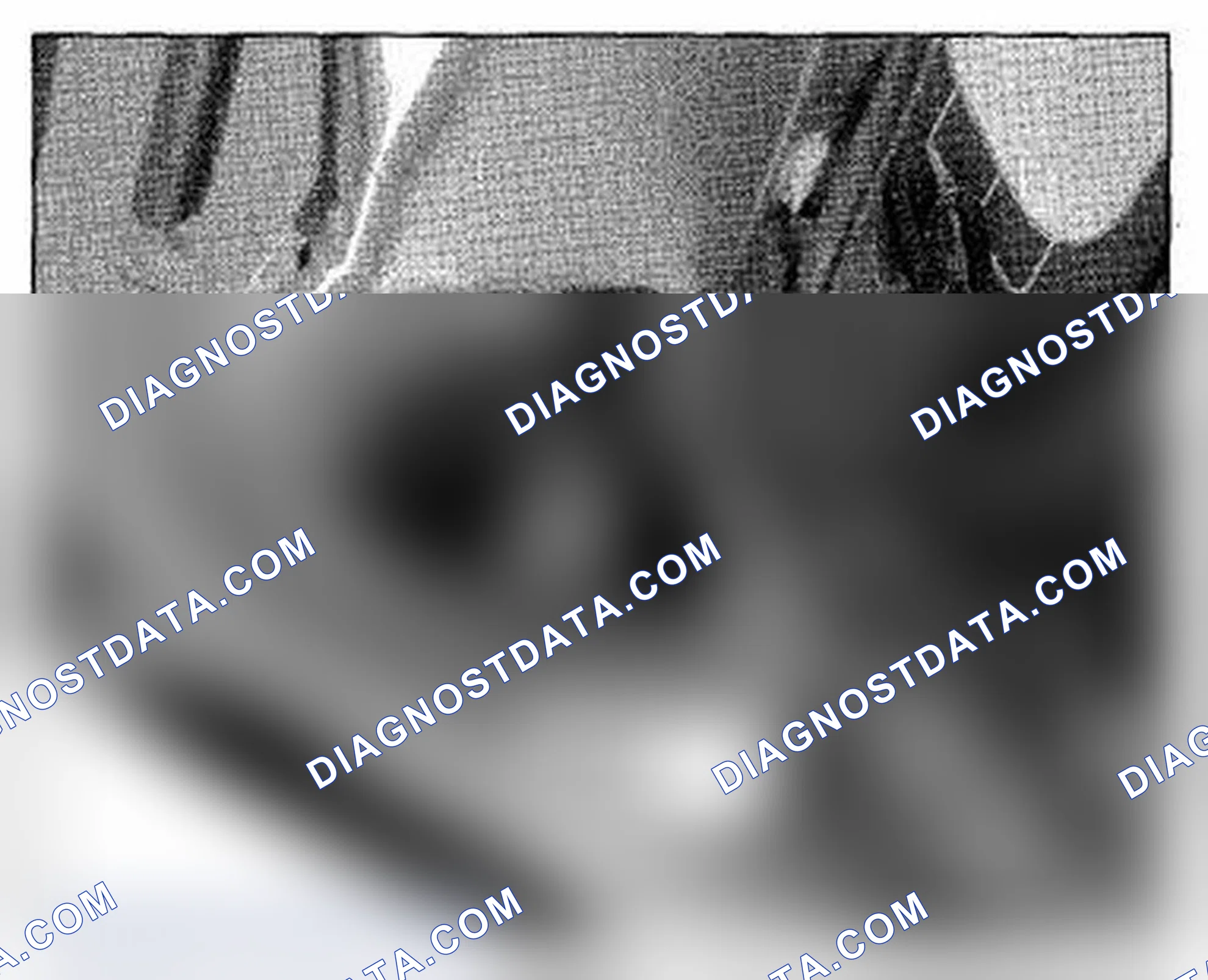 Scheme 644: Left Side Of Tailgate Component Location (Photo 239)