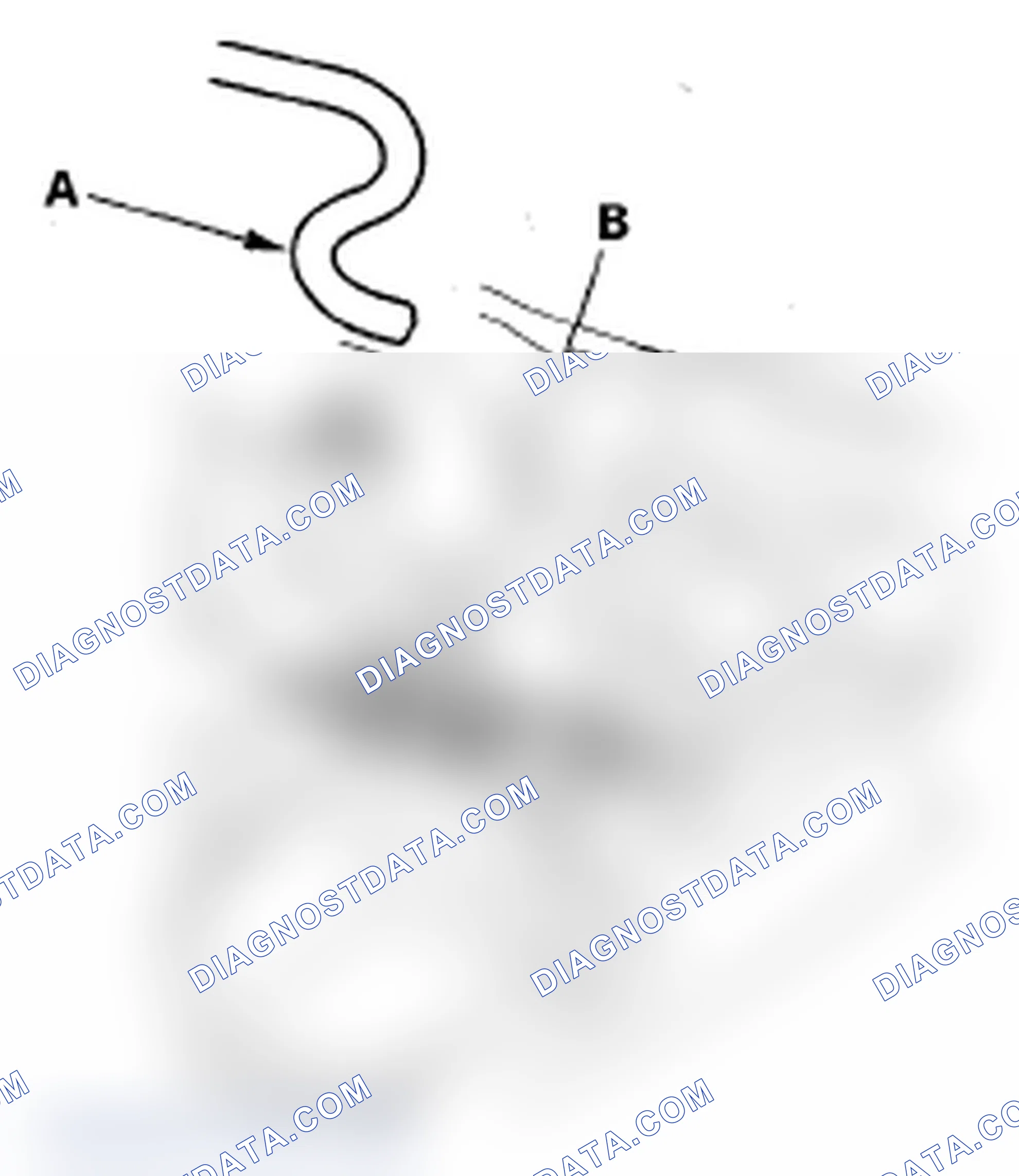 Scheme 122