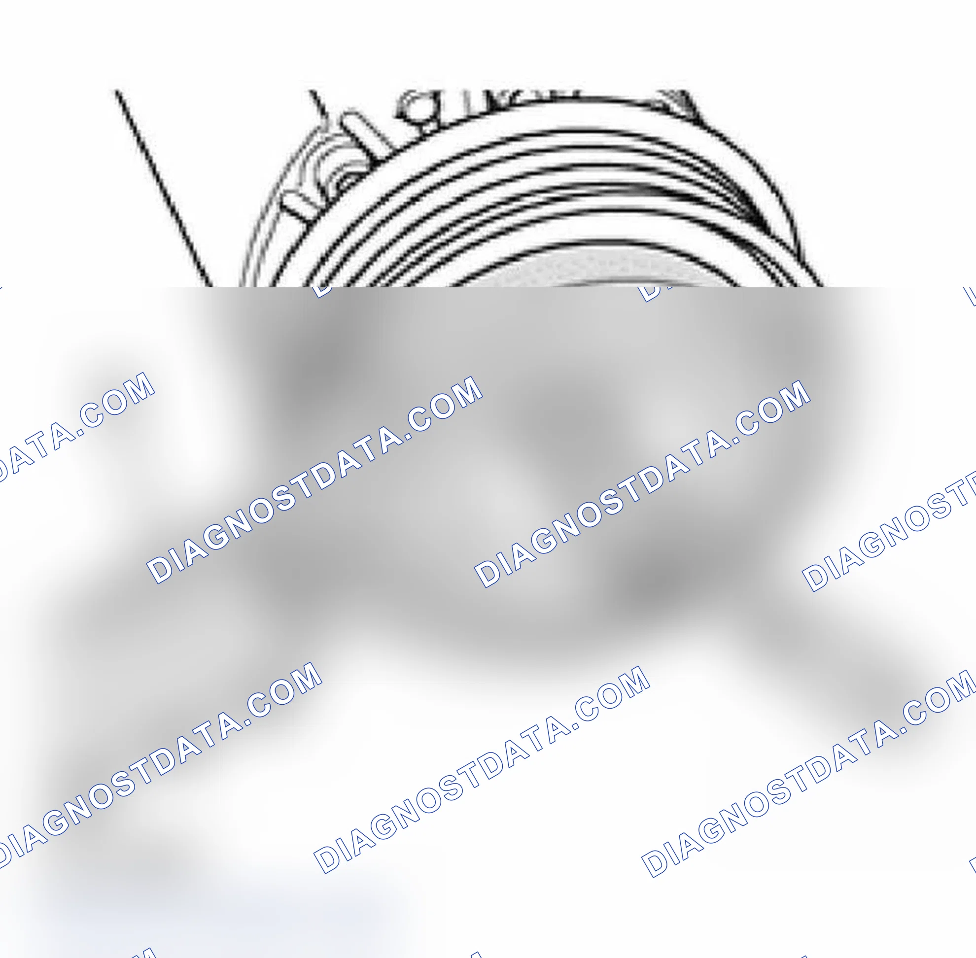 Scheme 22: Removing and installing clutch plate bolt