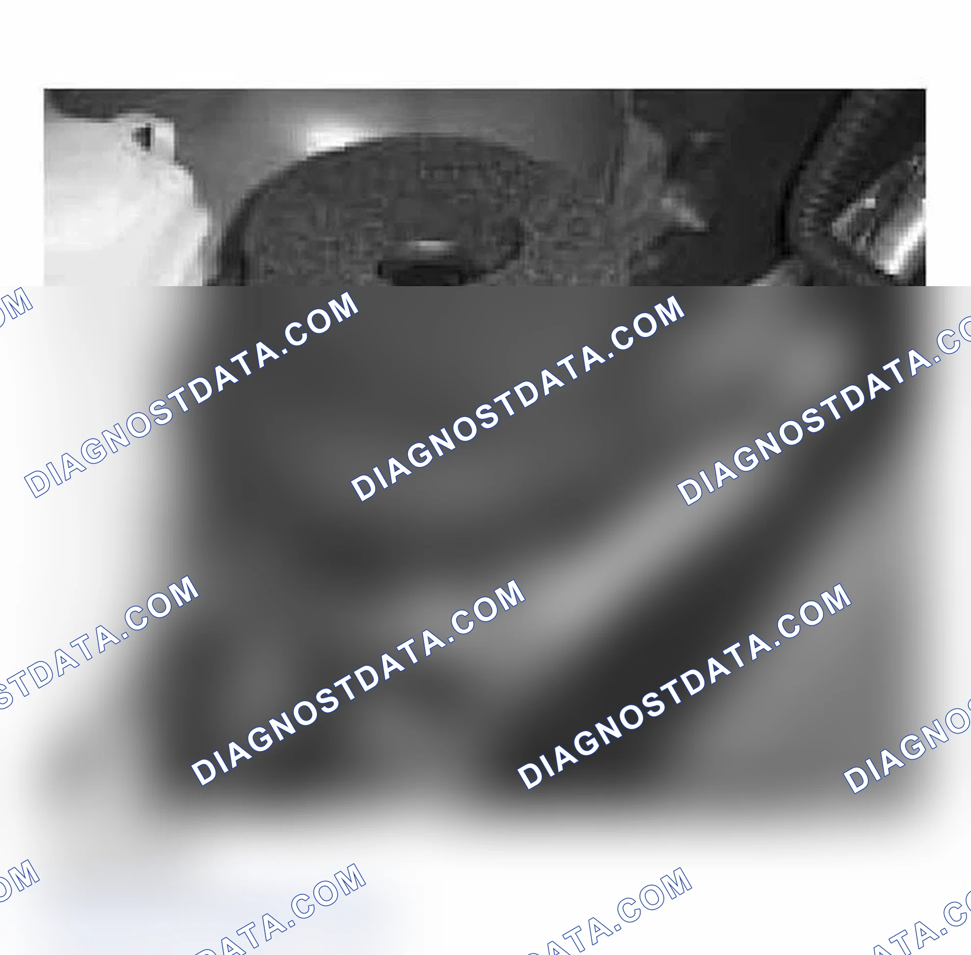 Scheme 556: Identifying Secondary Air Injection