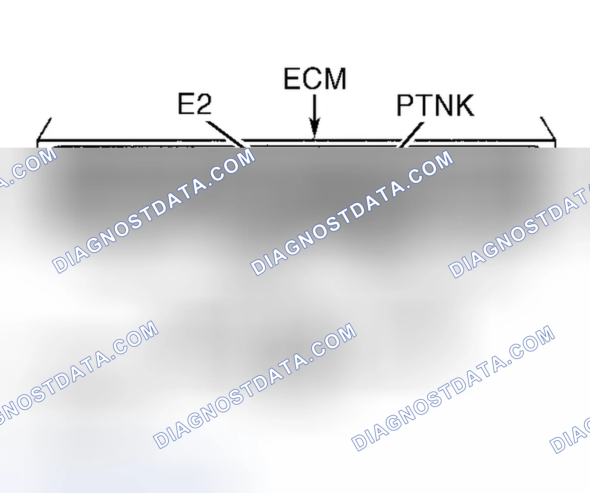 Scheme 183
