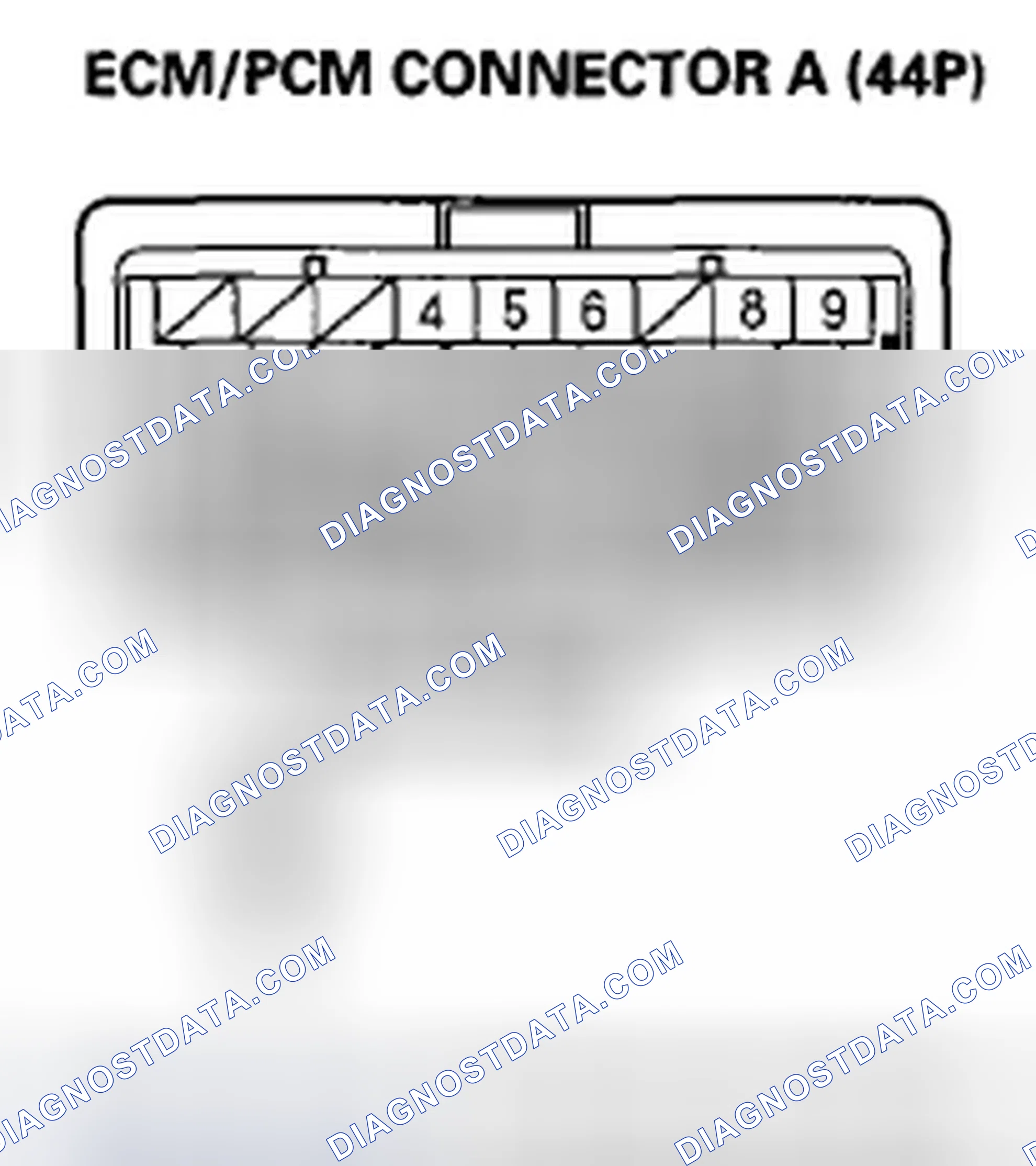 Scheme 877