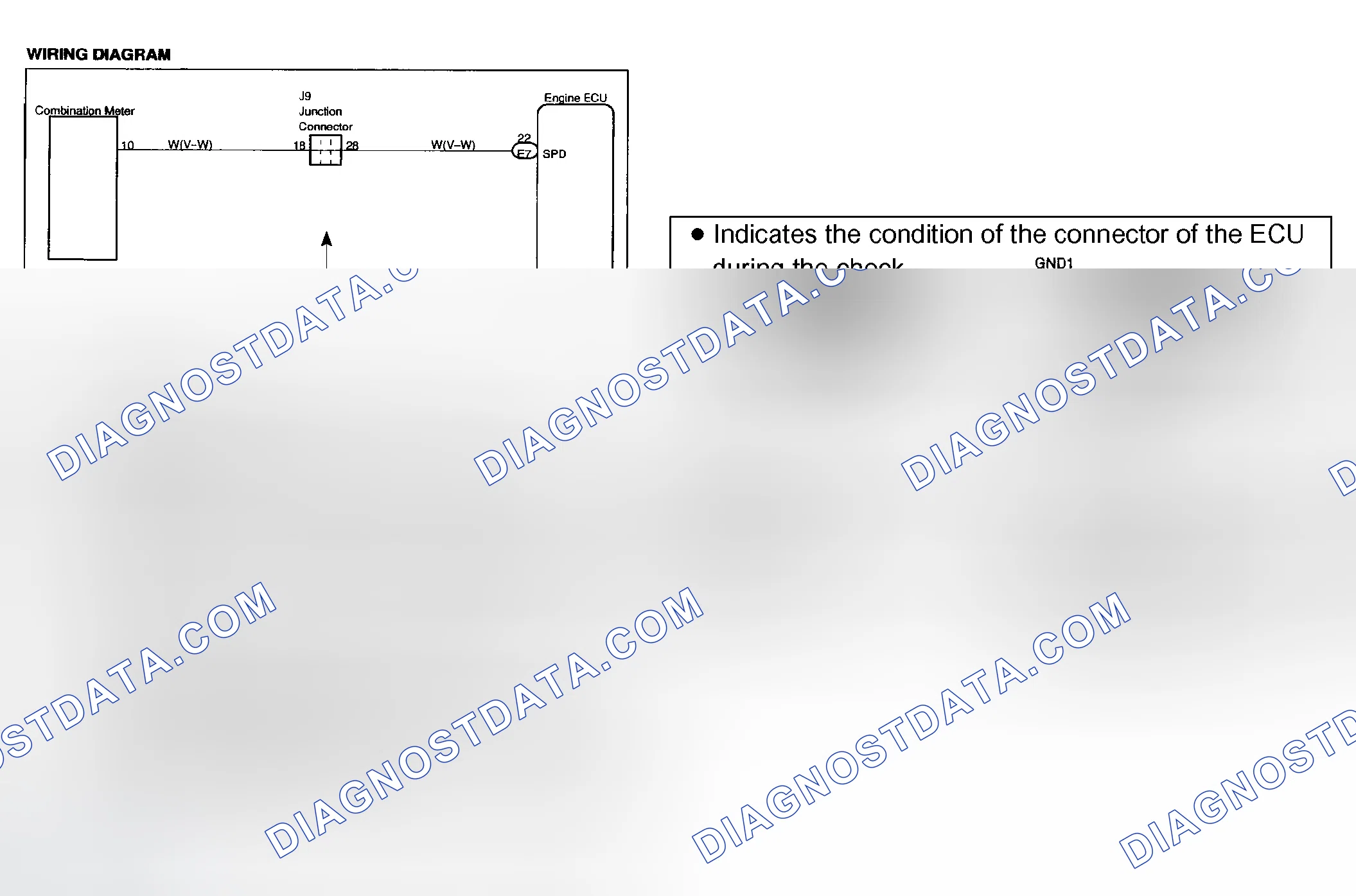 Scheme 38: CIRCUIT INSPECTION