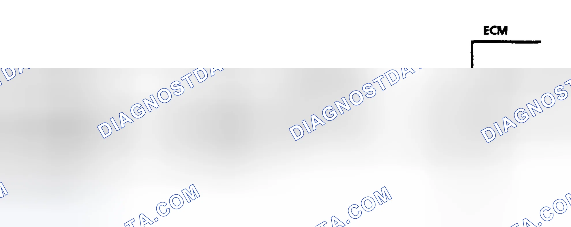 Scheme 87: Diagnostic Aids