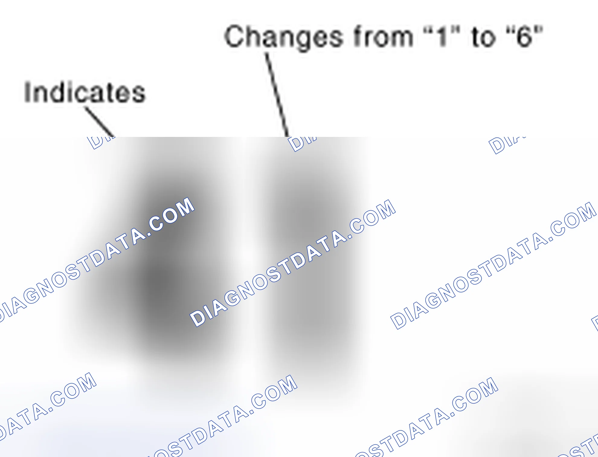 Scheme 18