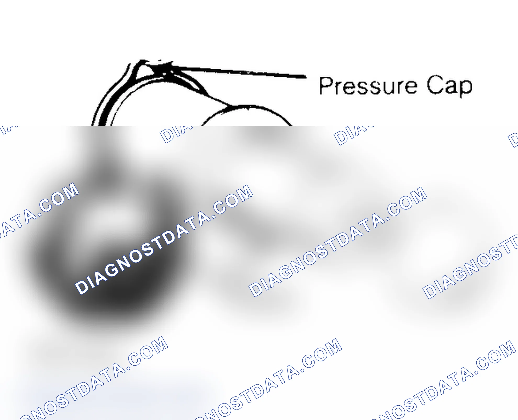 Scheme 2: Pressure Testing Radiator Cap