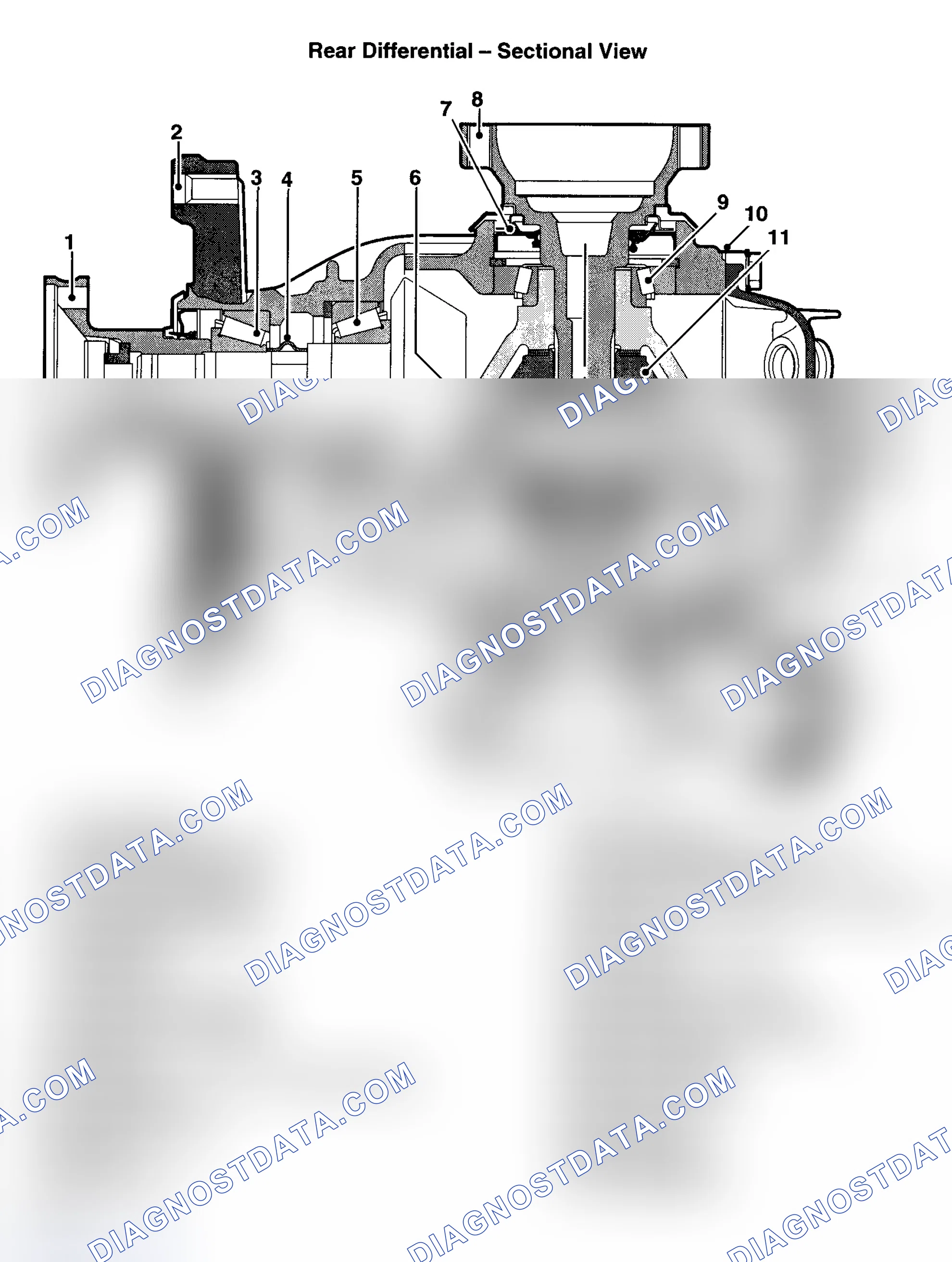 Scheme 4: REAR DIFFERENTIAL