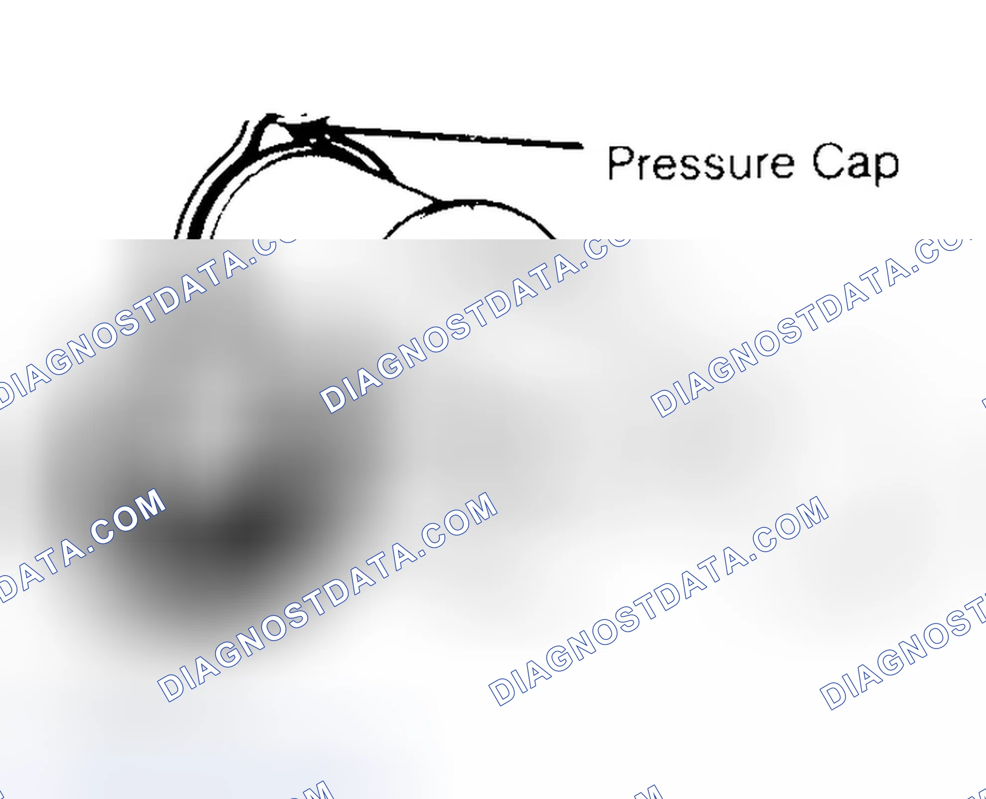 Scheme 2: Pressure Testing Radiator Cap