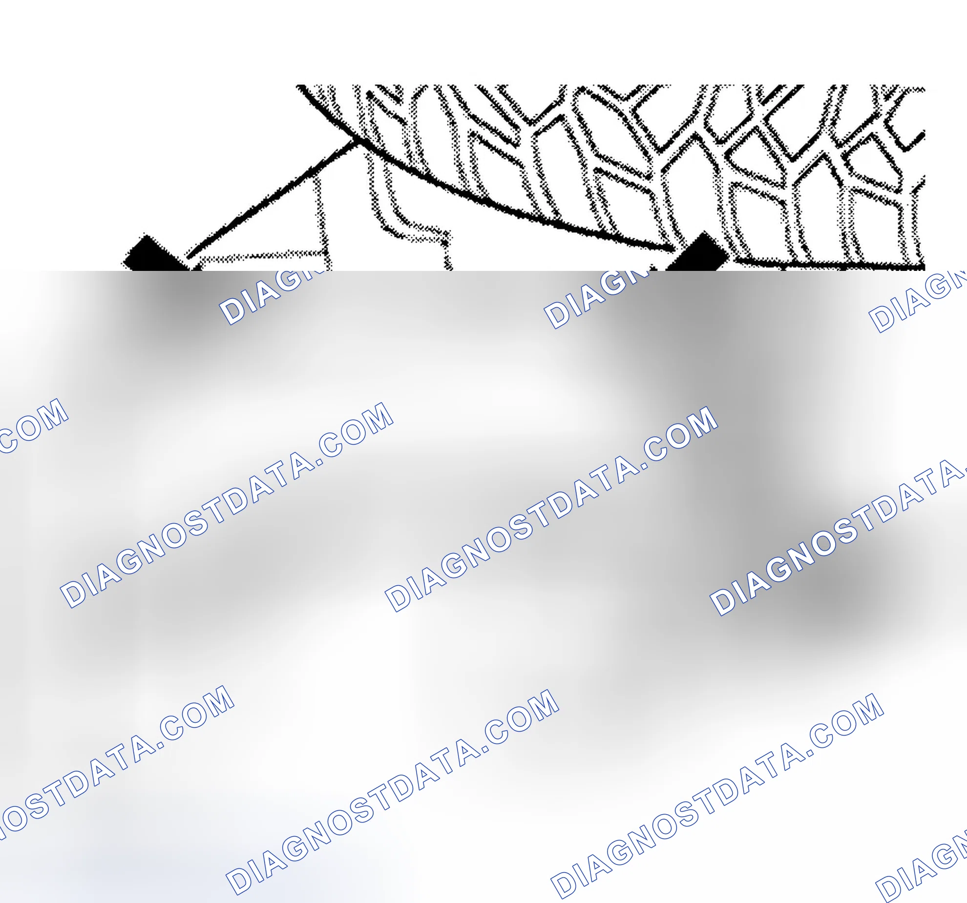 Scheme 7