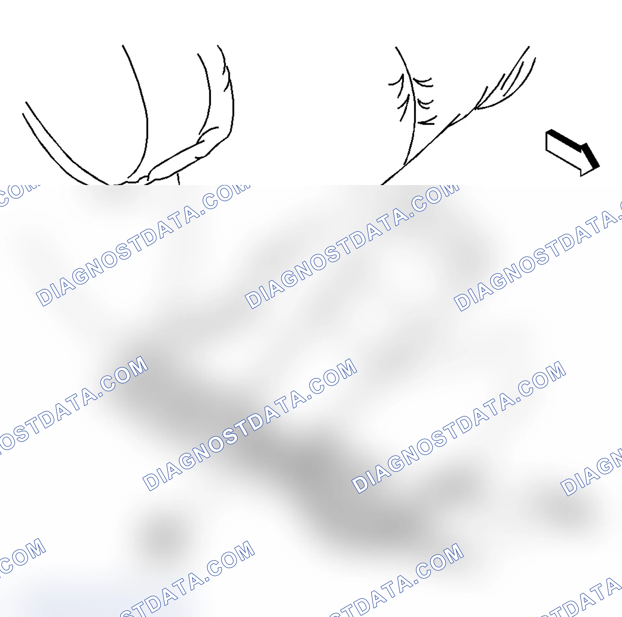 Scheme 2: Seat Belt Component Views