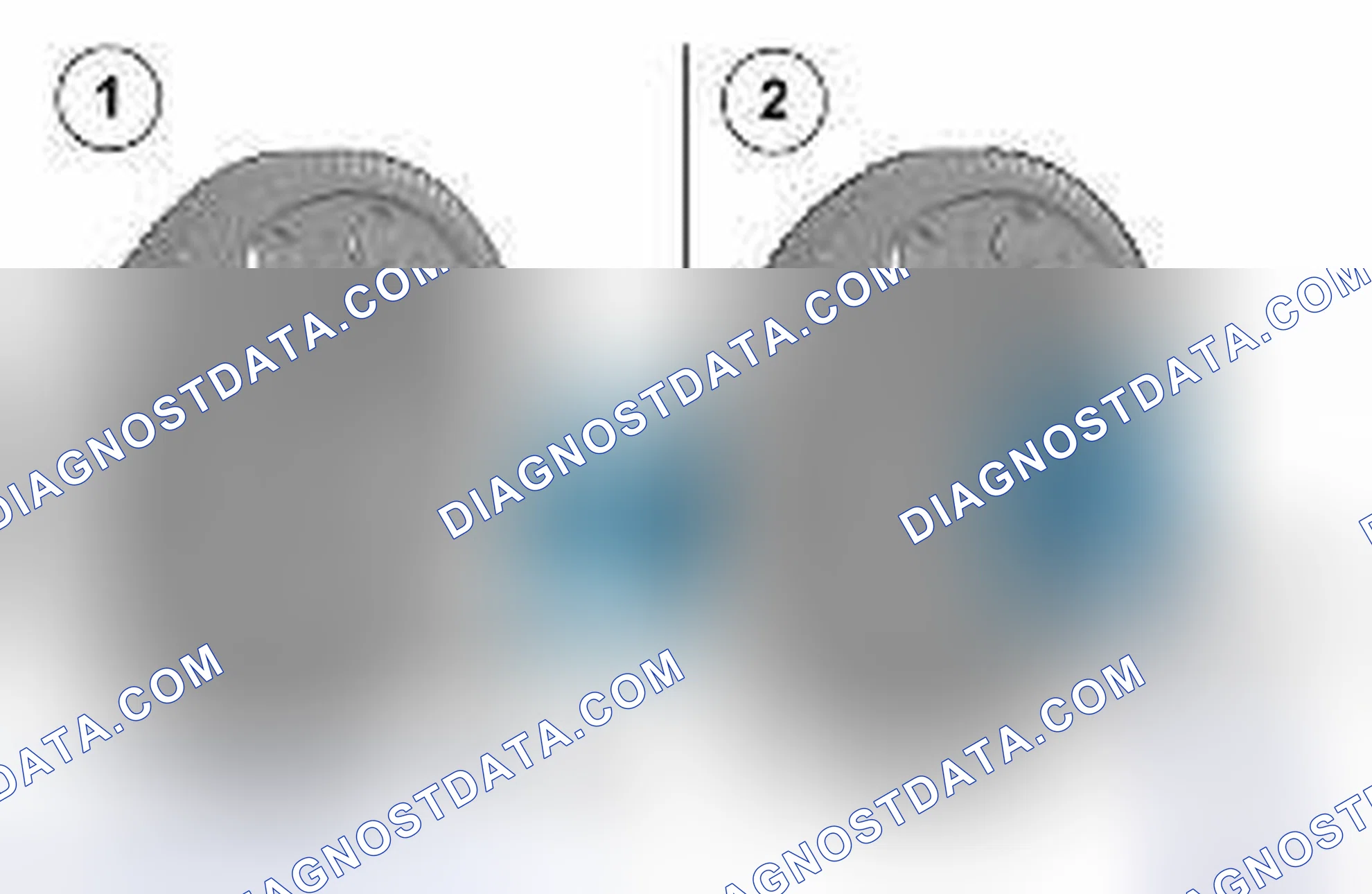 Scheme 107