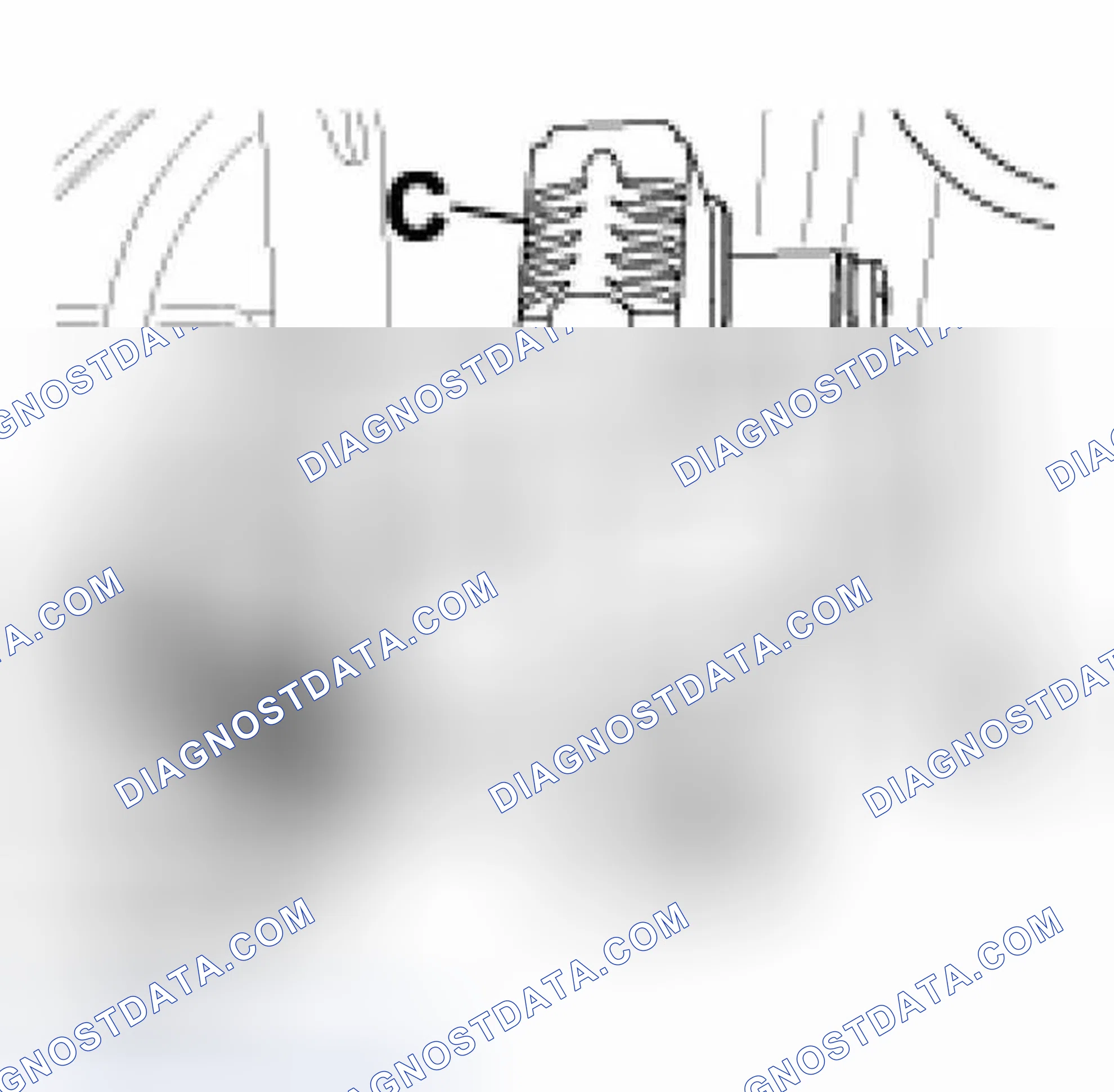 Scheme 385