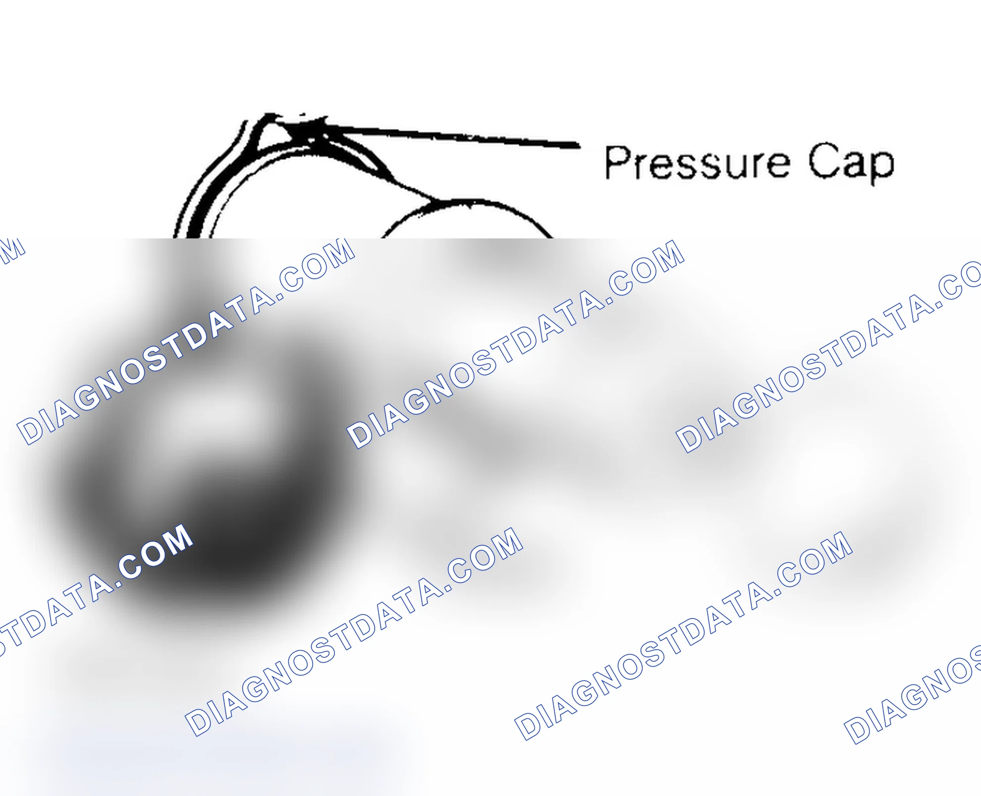 Scheme 2: Pressure Testing Radiator Cap