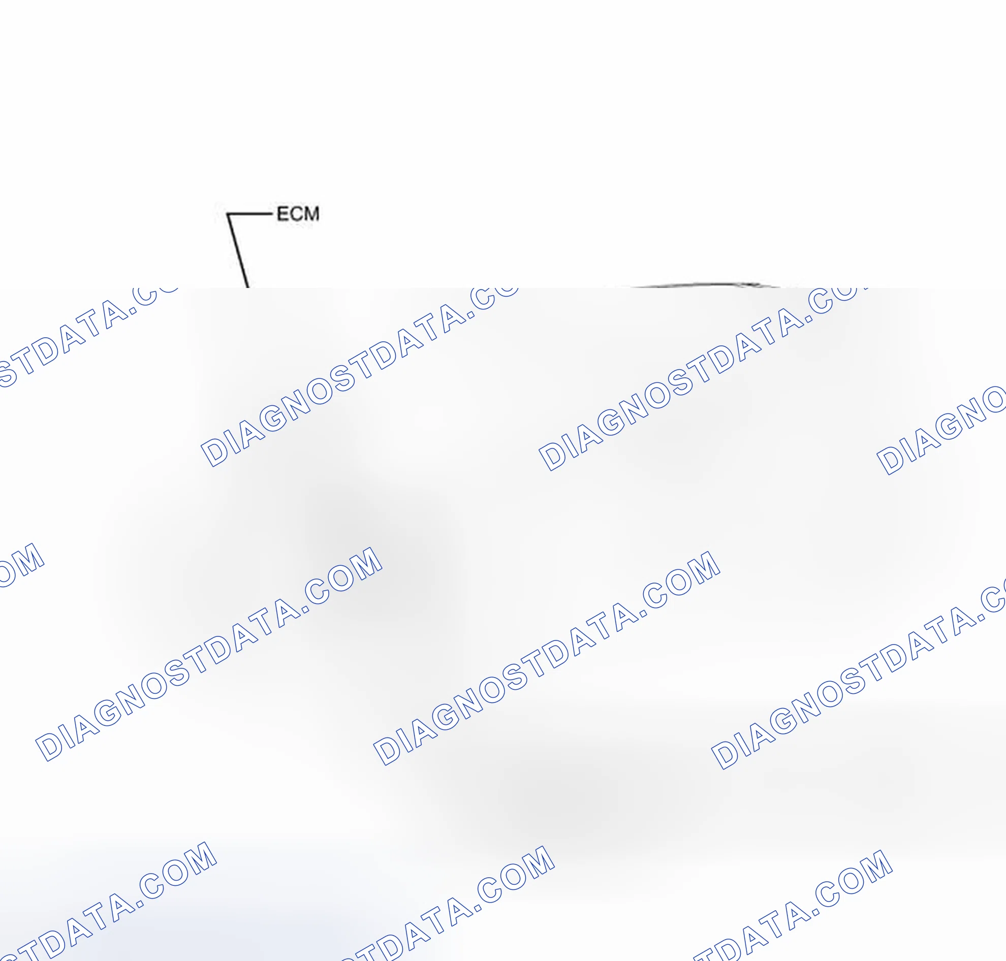 Scheme 7: ILLUSTRATION