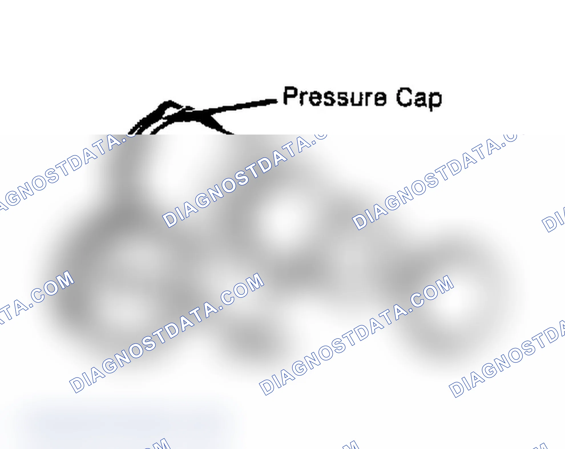 Scheme 4: Testing Radiator Pressure Cap Wet cap gasket before testing.