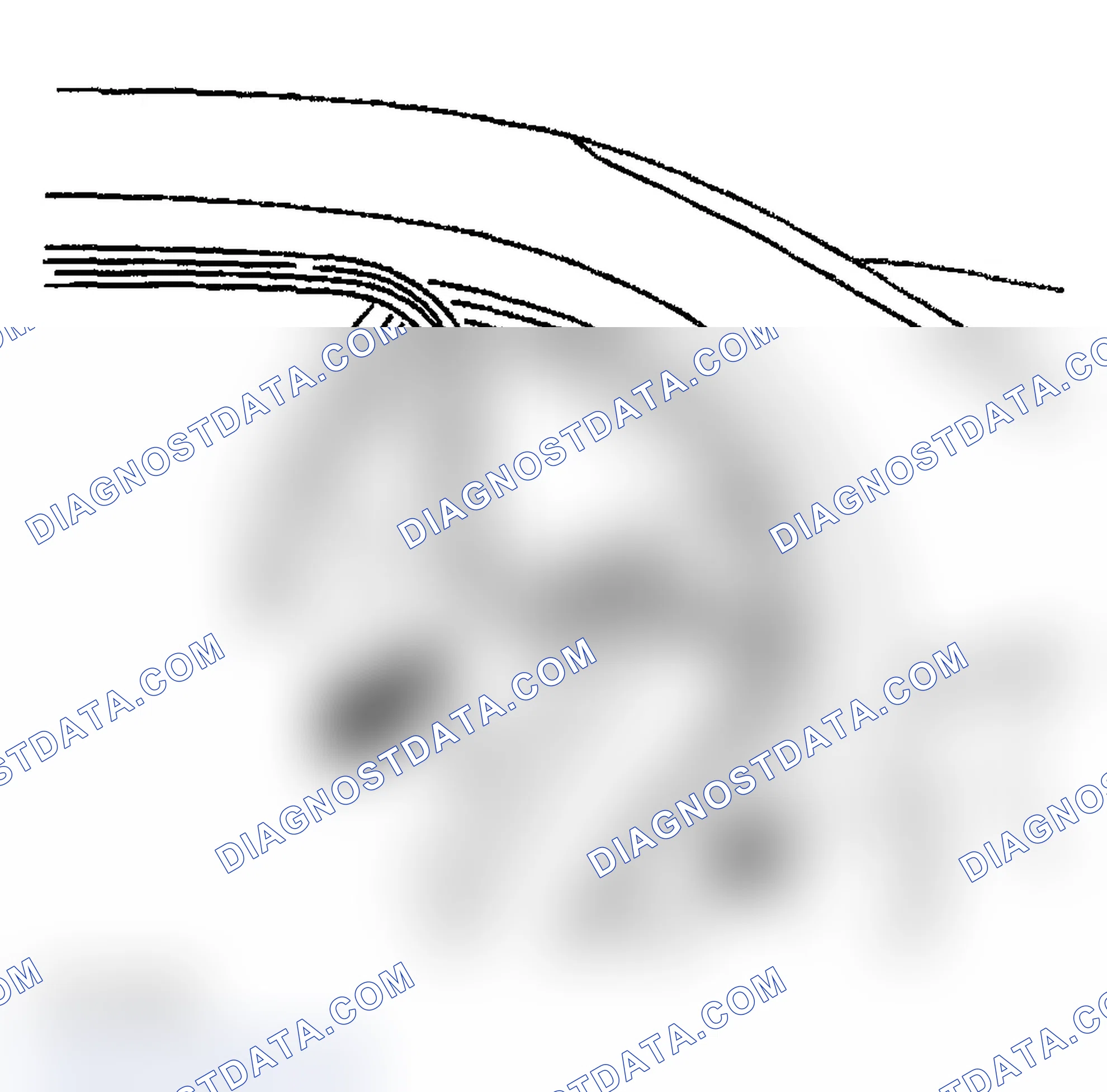 Scheme 4: Removal Procedure