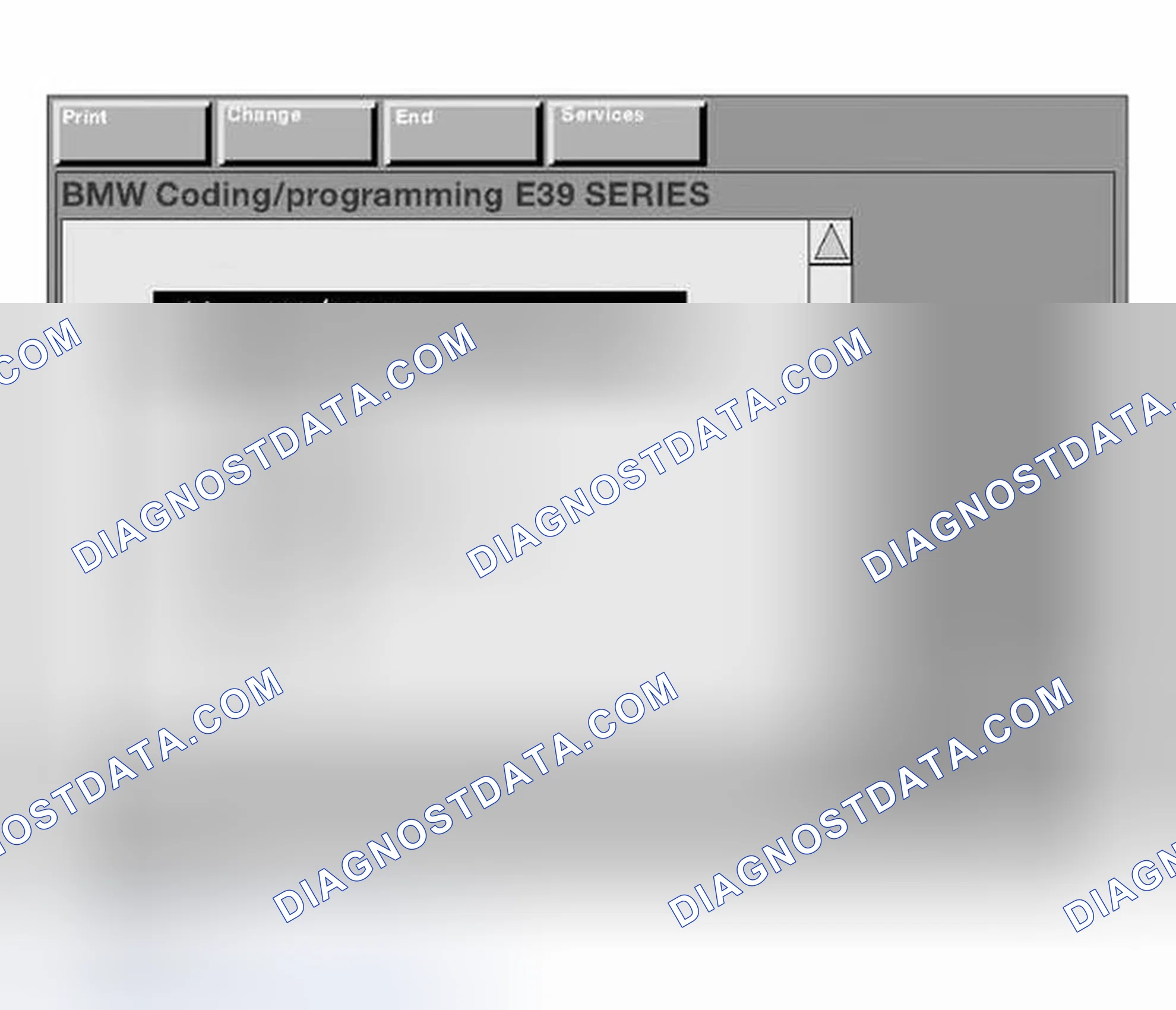 Scheme 163