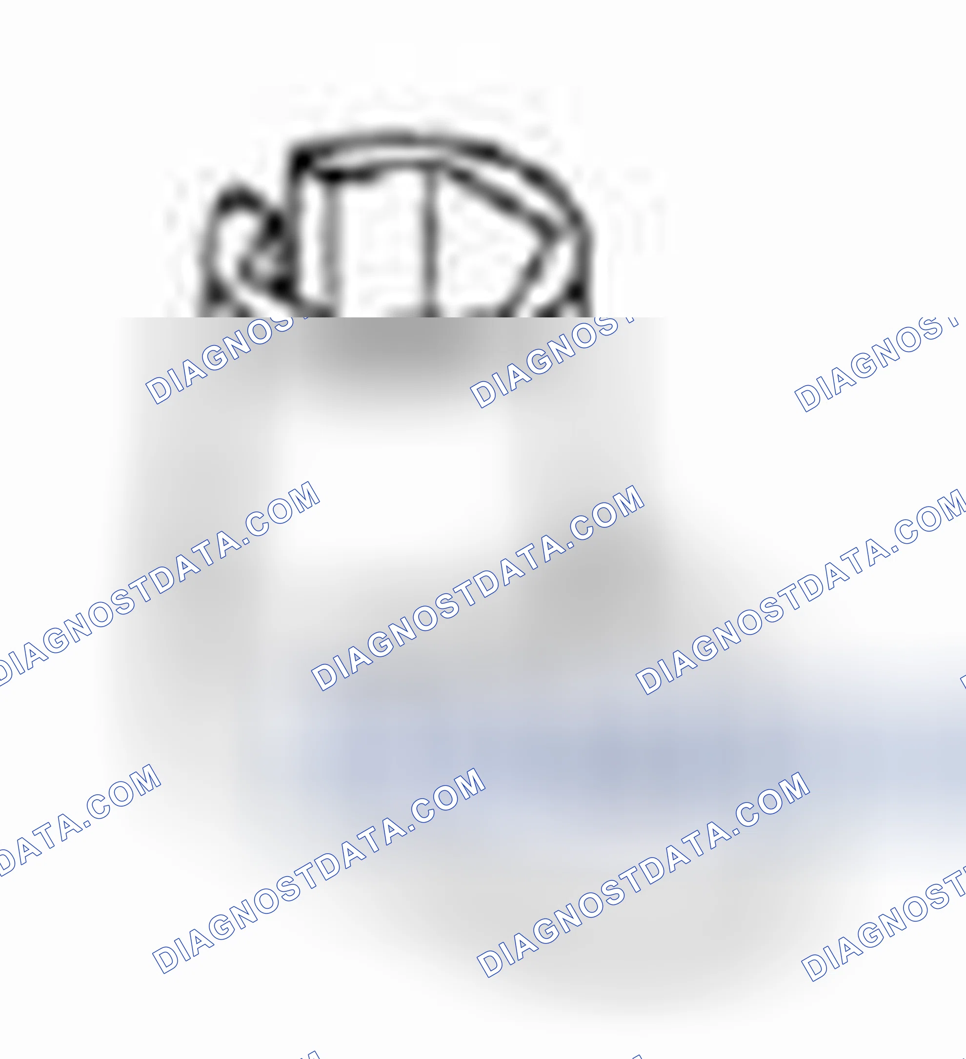 Scheme 22: Heated Oxygen Sensor (HO2S)