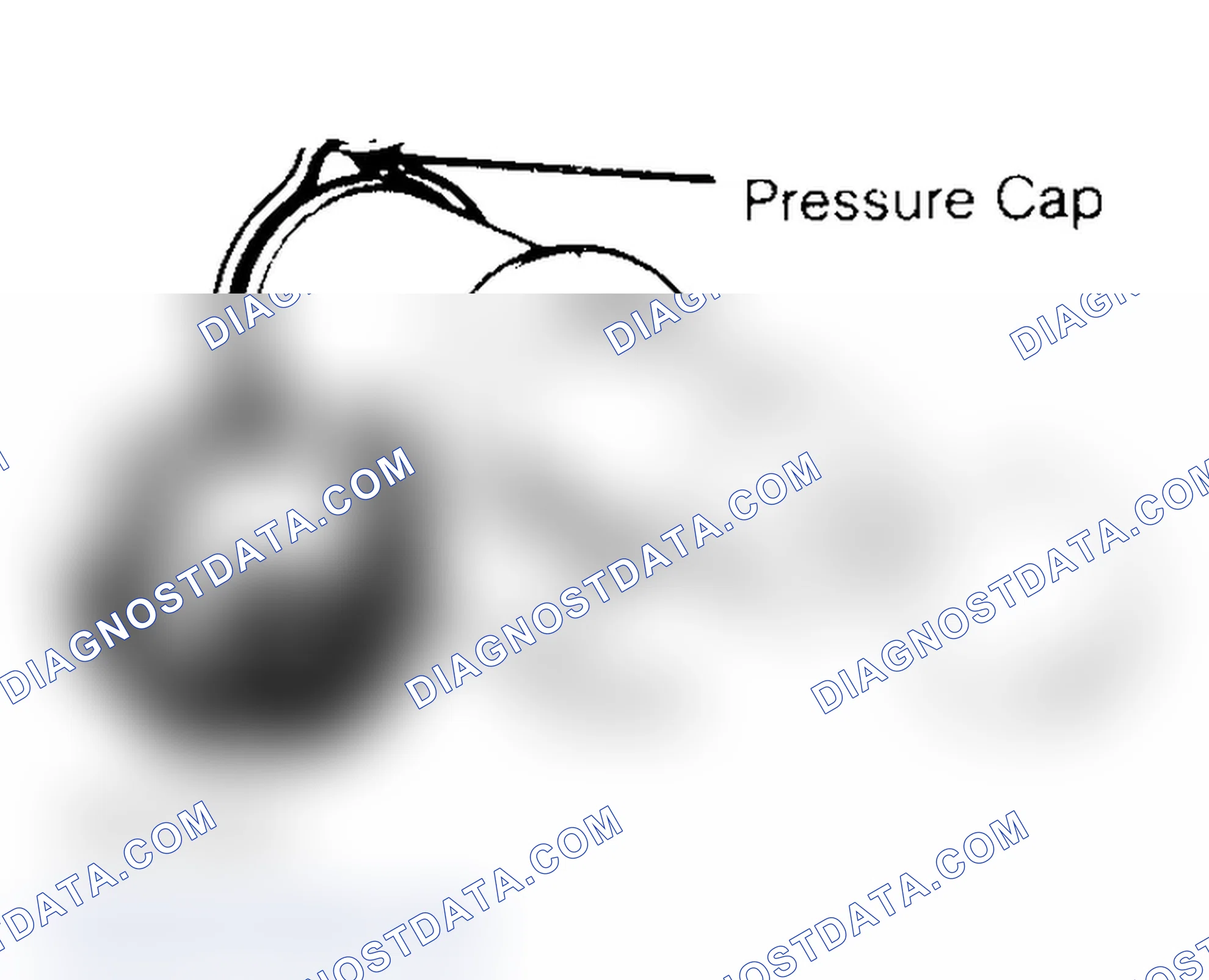 Scheme 2: Pressure Testing Radiator Cap