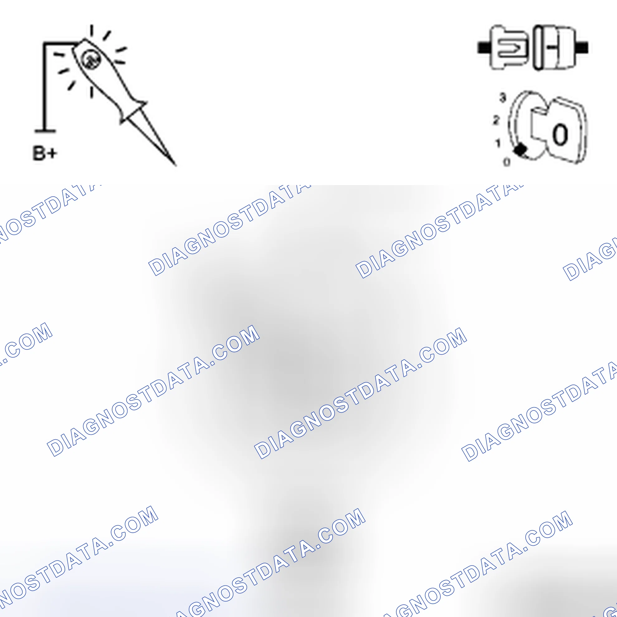 Scheme 43: Diagnostic Test