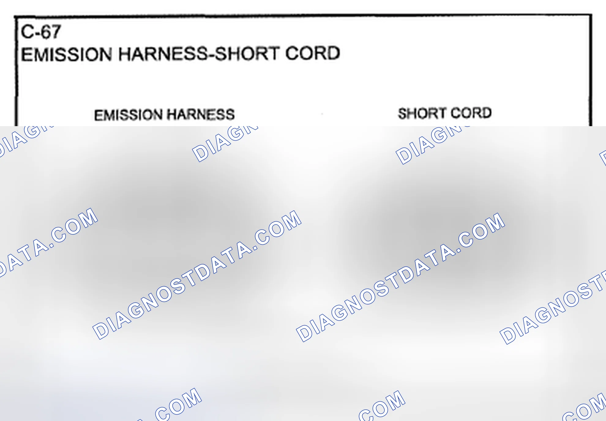 Scheme 81: Identifying Short Cord Emission Harness Connector Terminals (C-67)
