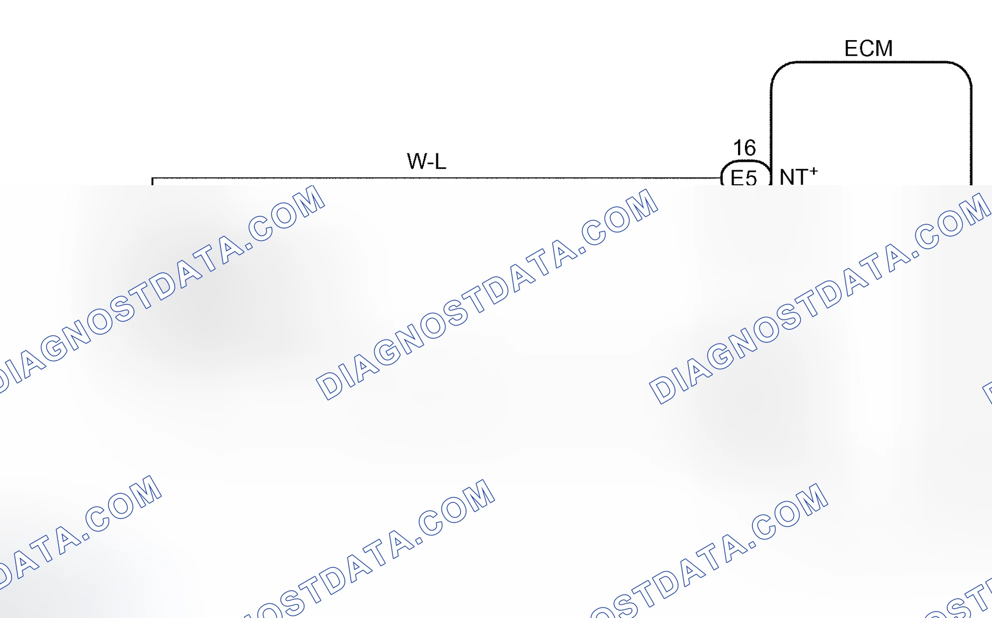 Scheme 421: WIRING DIAGRAM