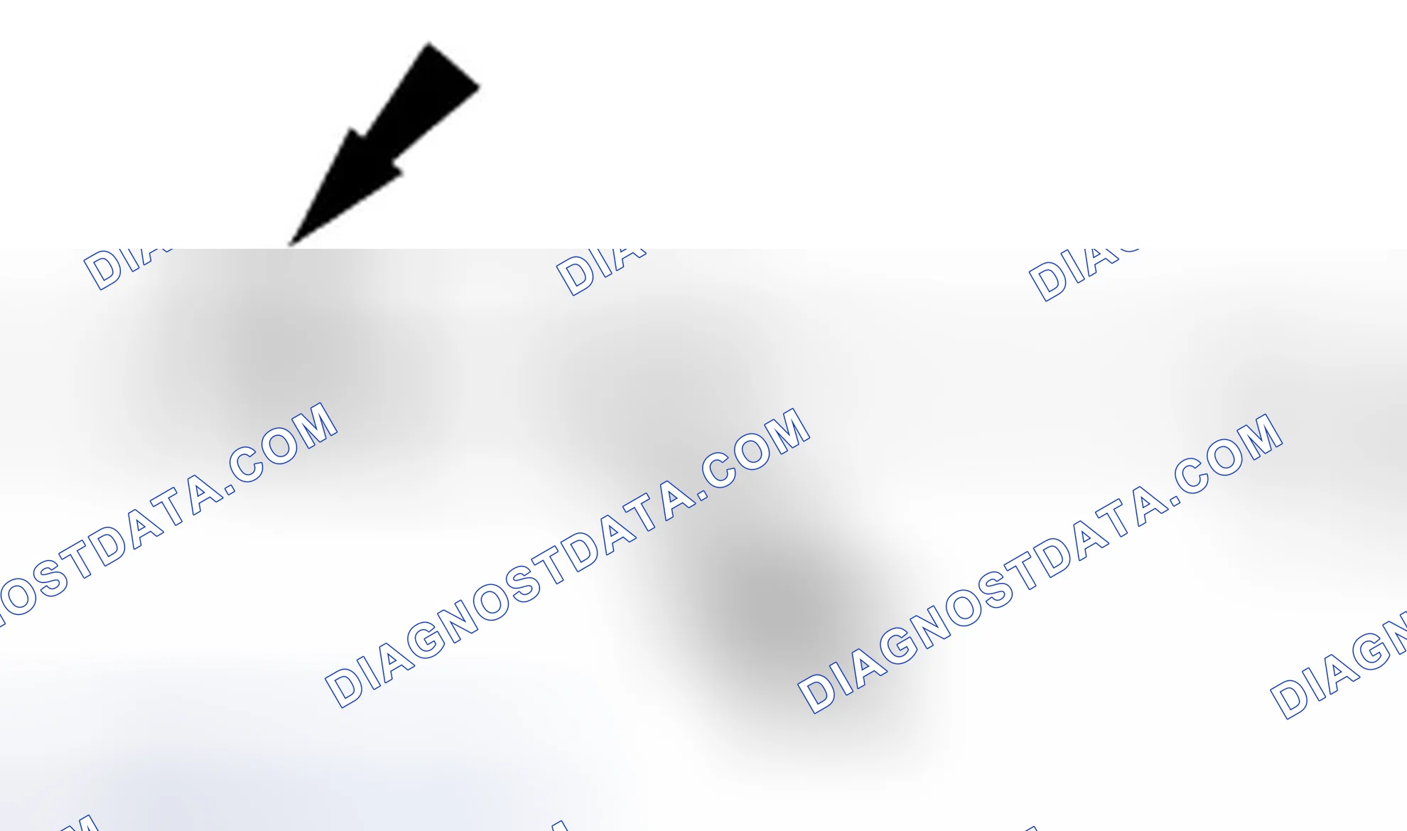 Scheme 296: Oil Injection Using a Dye/Lubricant Injector