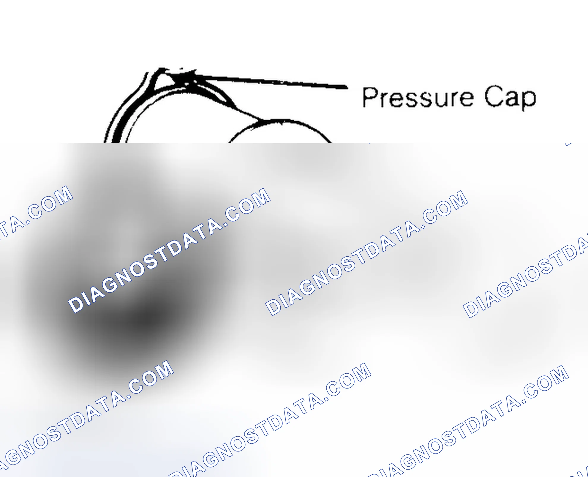 Scheme 2: Pressure Testing Radiator Cap