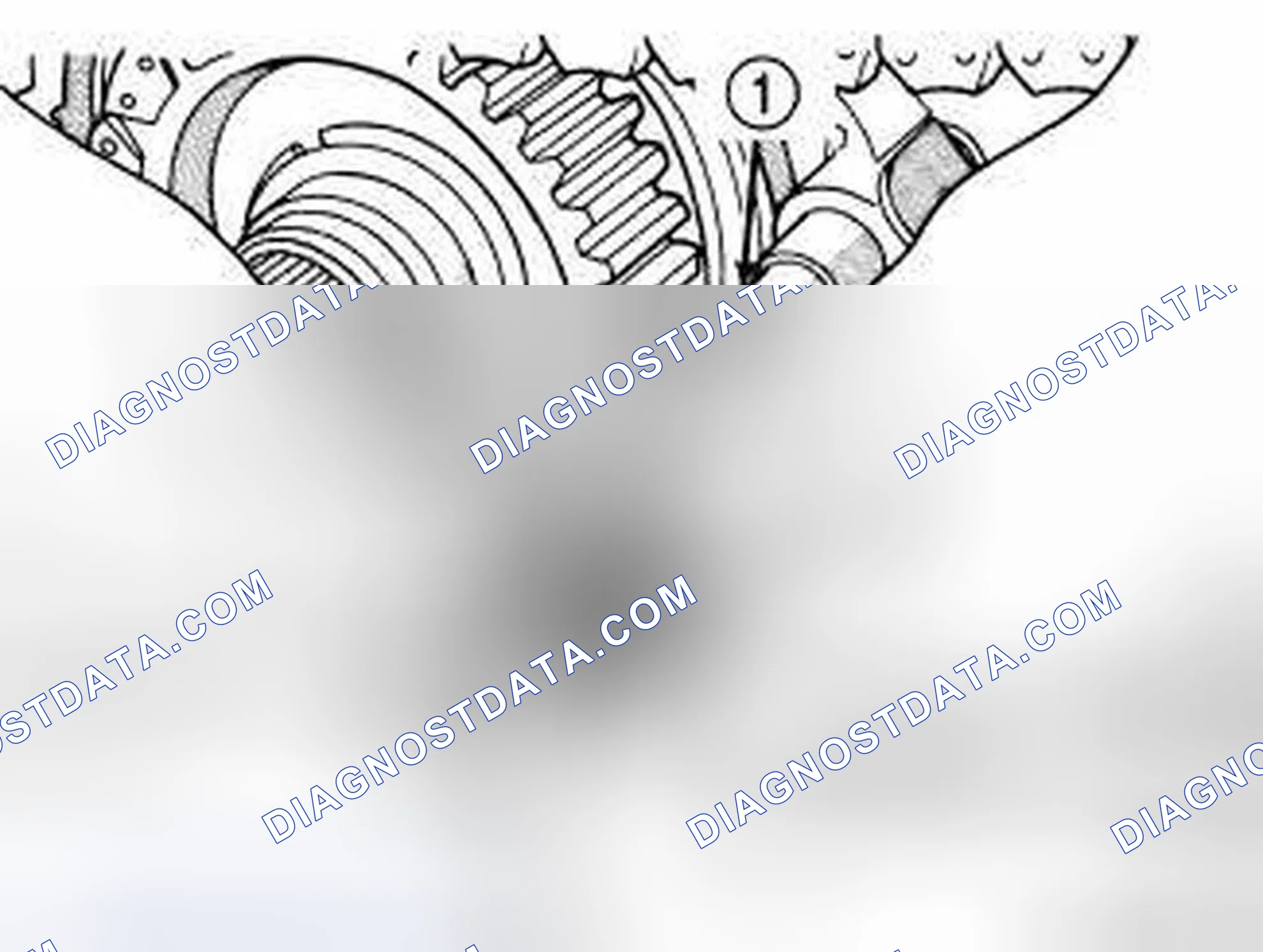 Scheme 19: FRONT OUTPUT SHAFT AND DRIVE CHAIN