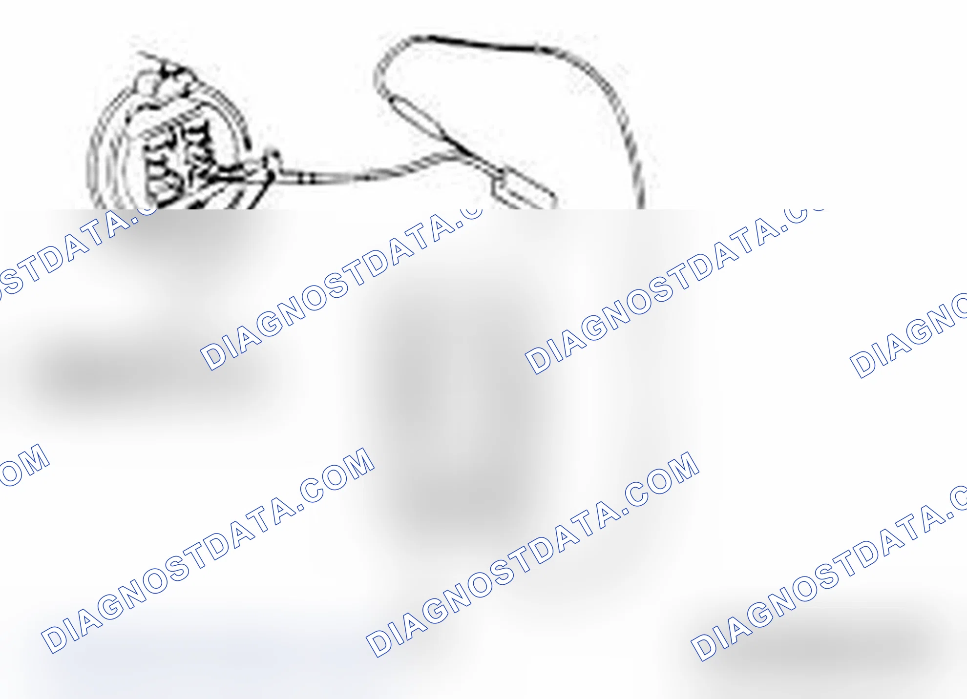 Scheme 113: IF INSPECTING WITH THE CONNECTOR DISCONNECTED