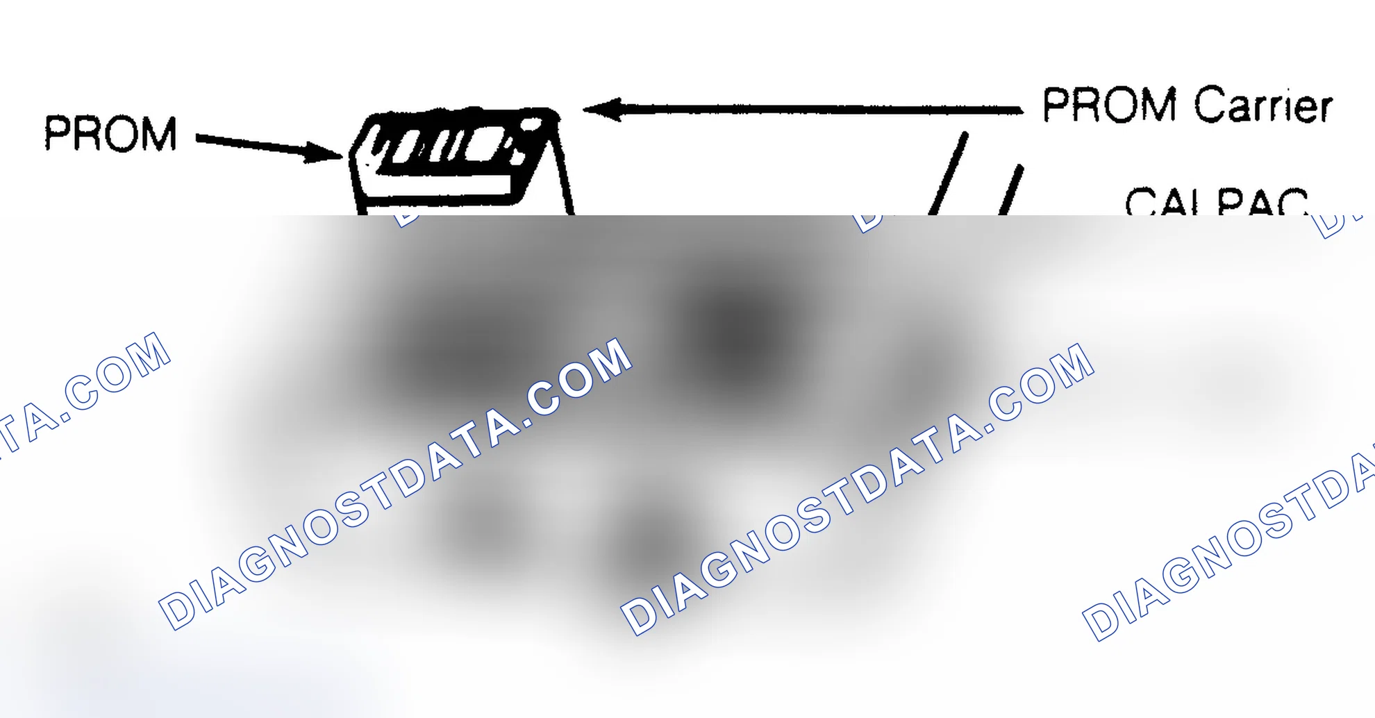 Scheme 3: CALPAC