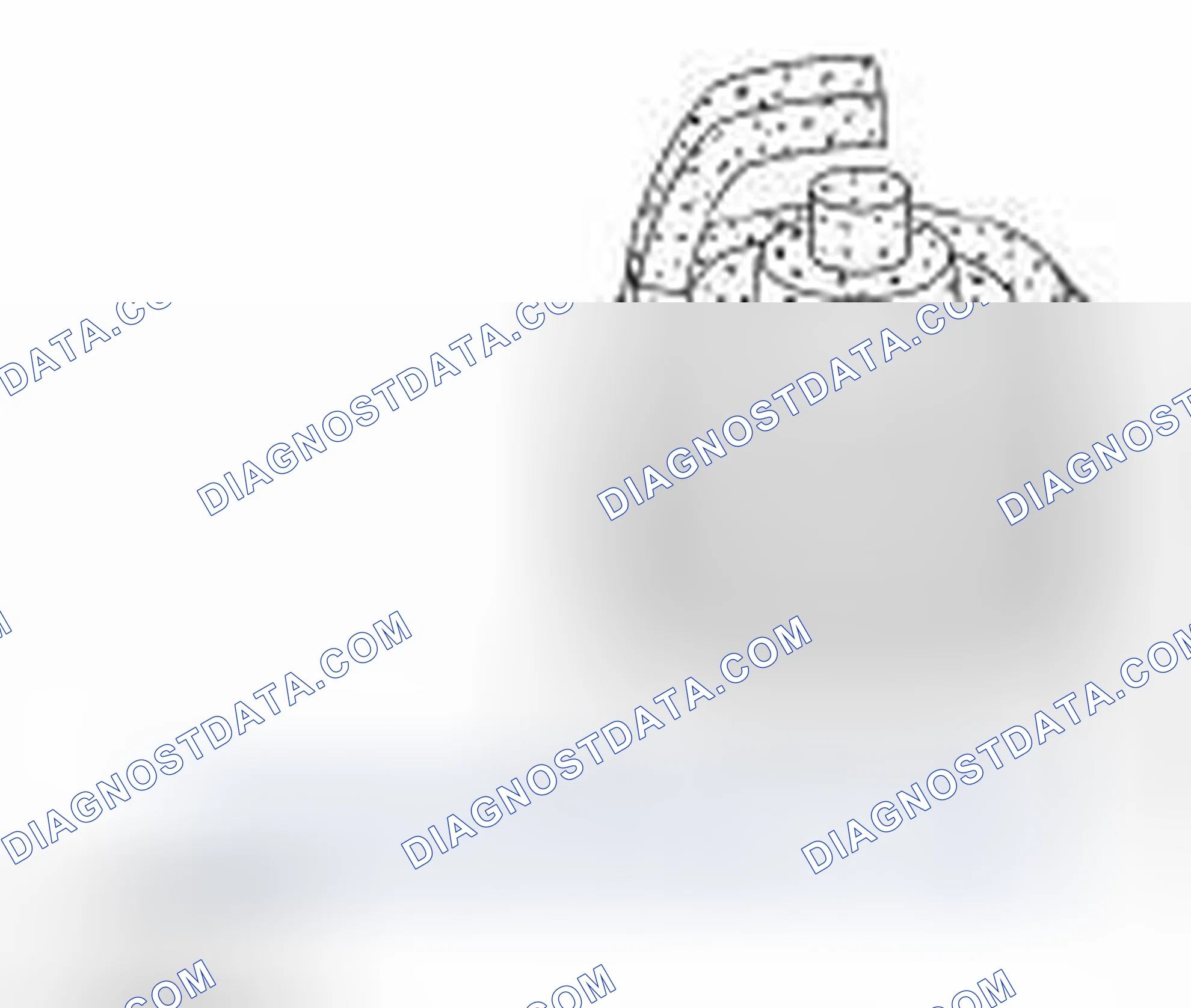 Scheme 516