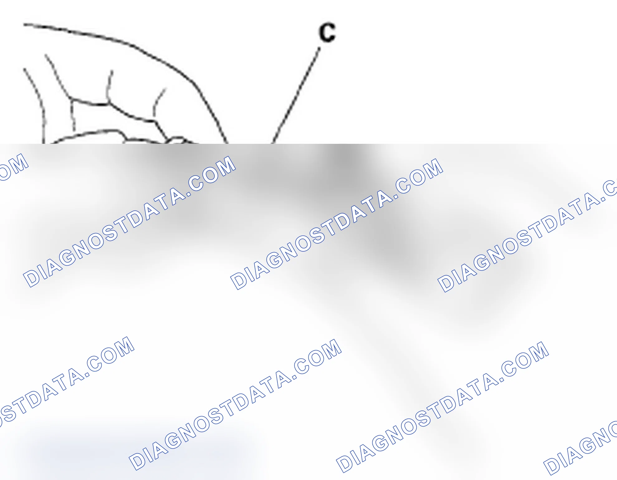 Scheme 19