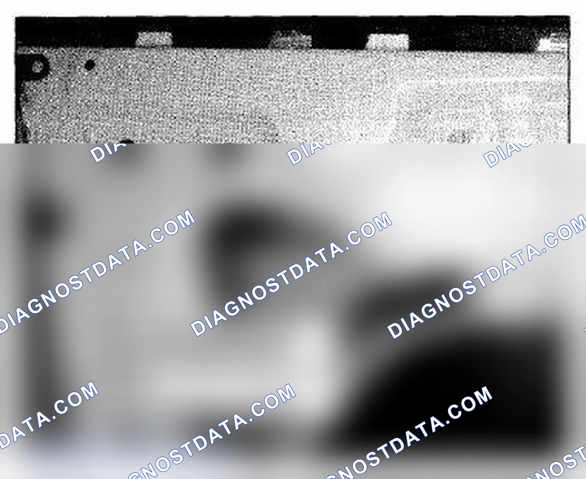 Scheme 1219: Driver's Door (Keyless Access) (Front Passenger's Similar) Component Location (Photo 210)