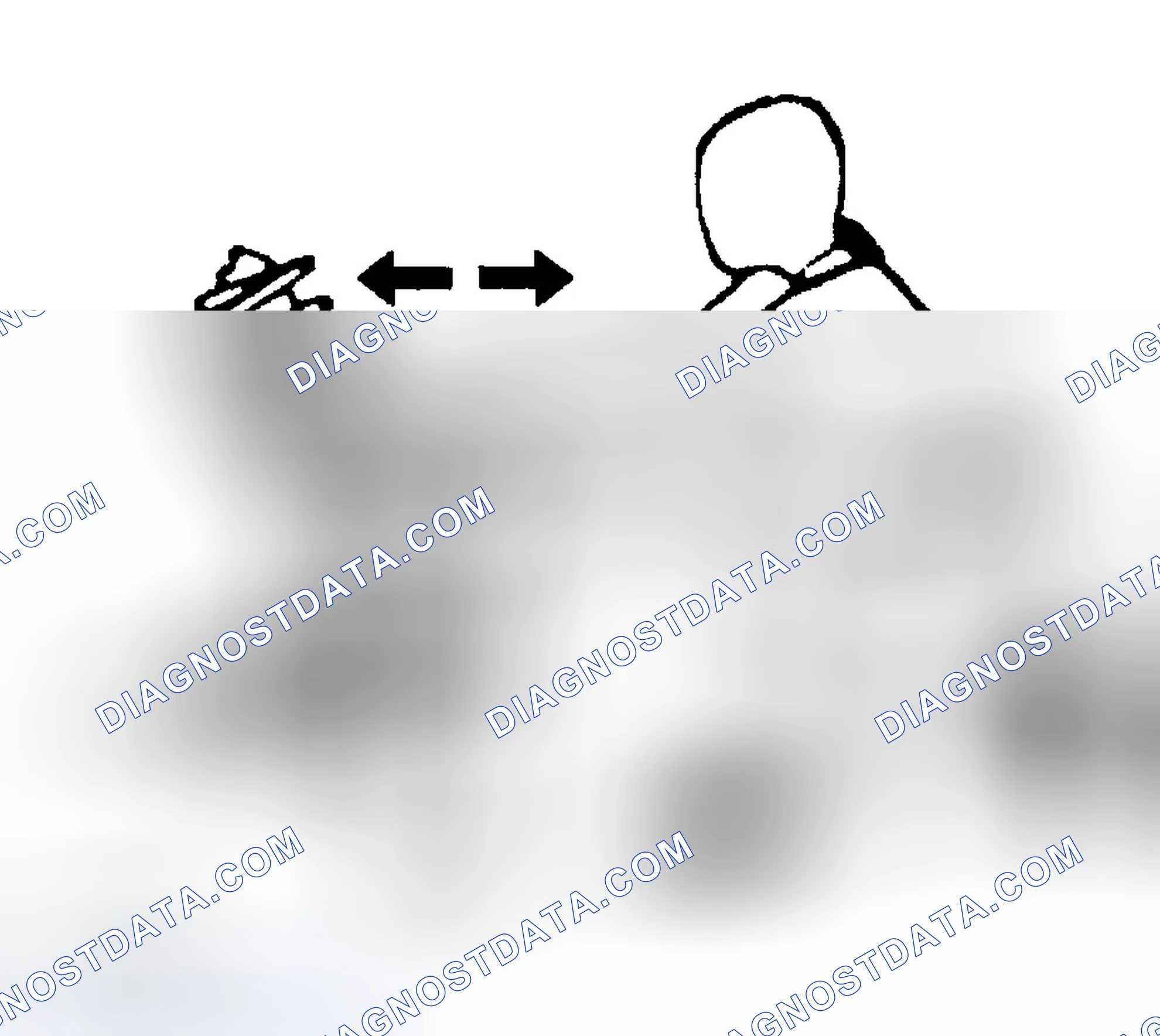 Scheme 5