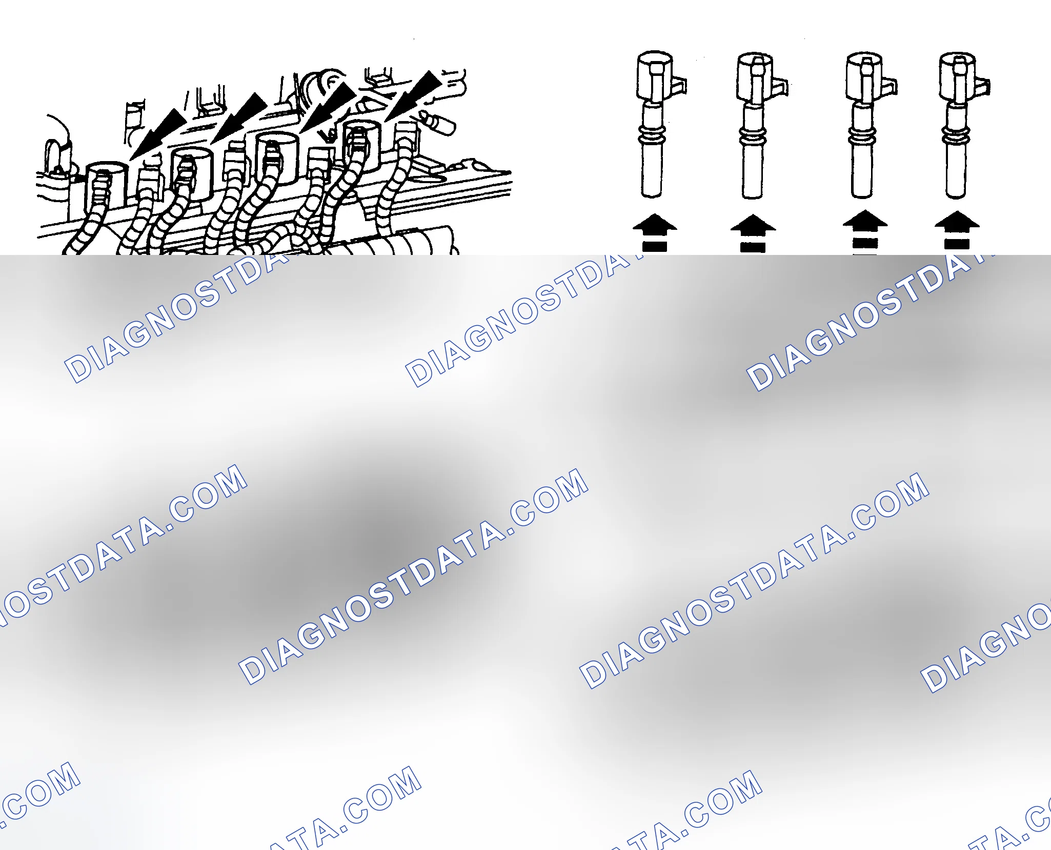 Scheme 18: Spark Plug Coils (4.6L & 5.4L)