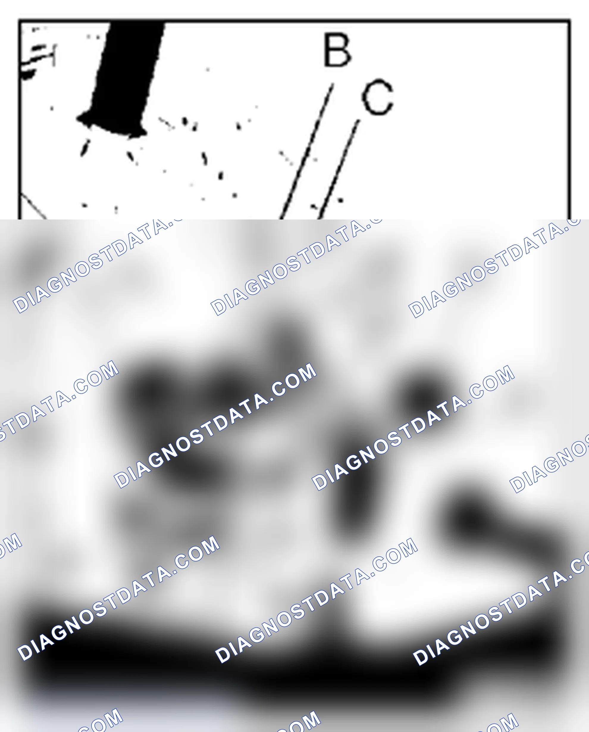 Scheme 322